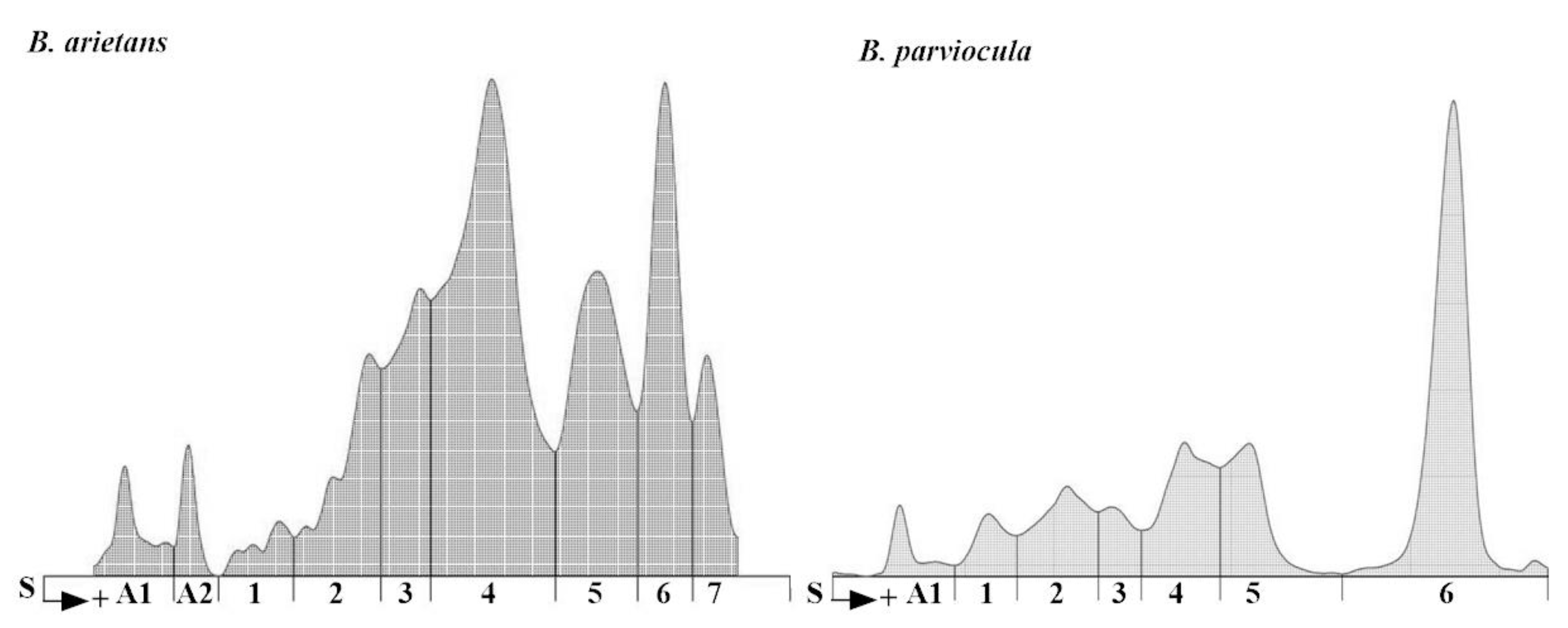 Toxins 13 00299 g010 Toxins 13 00299 g010