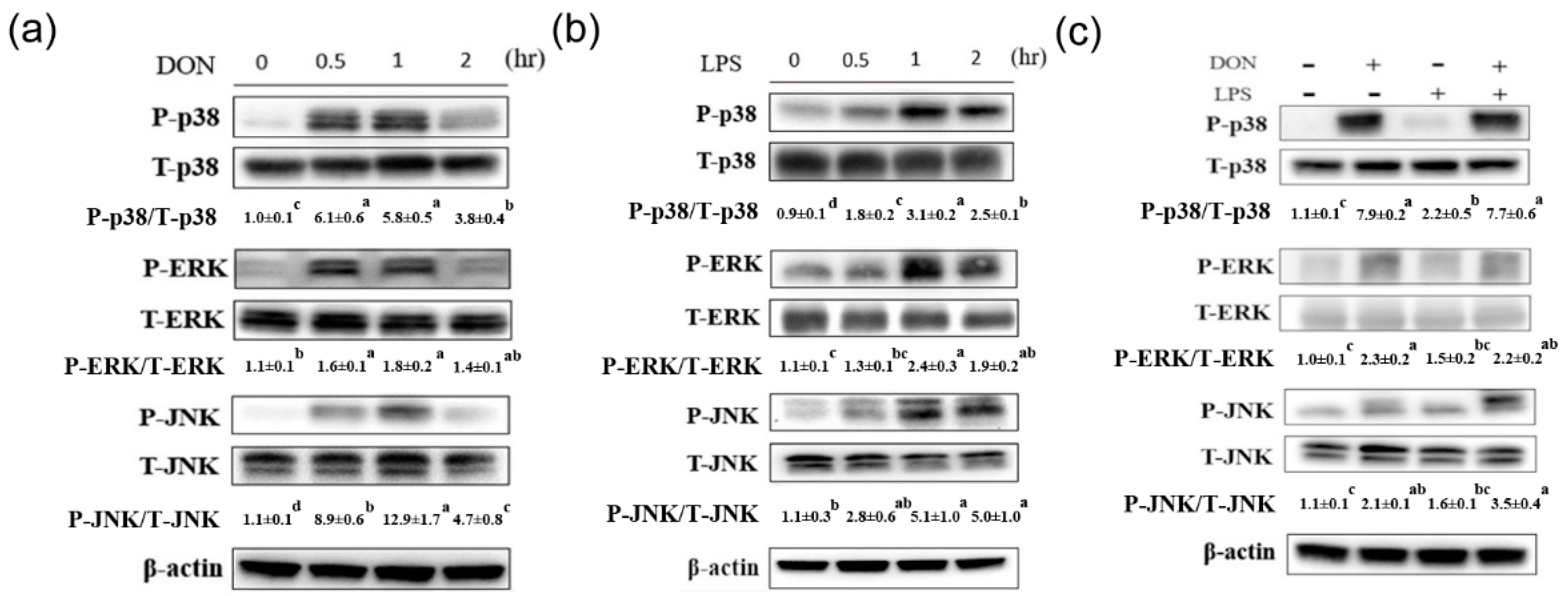 Toxins 13 00301 g001 Toxins 13 00301 g001