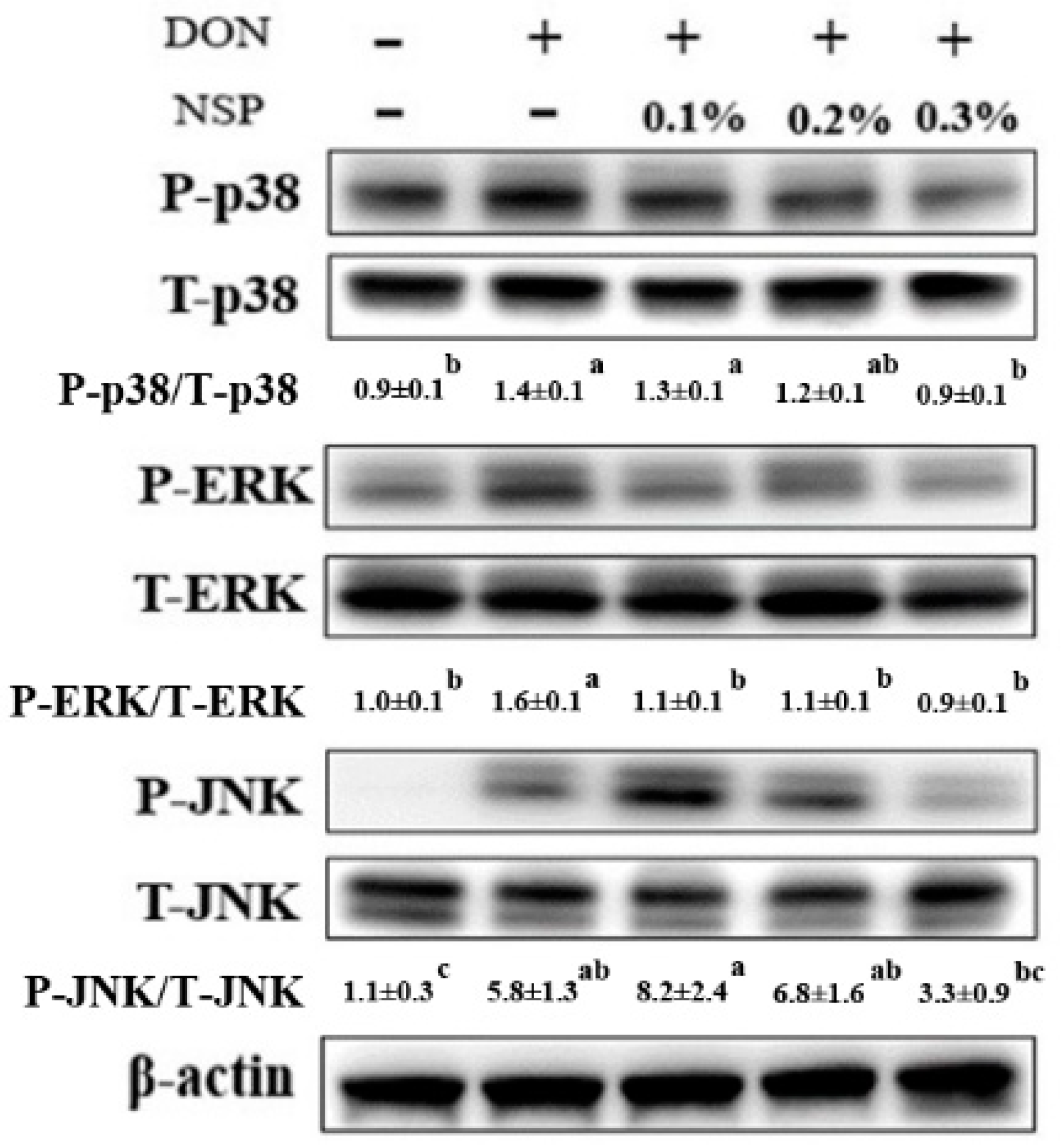 Toxins 13 00301 g003 Toxins 13 00301 g003