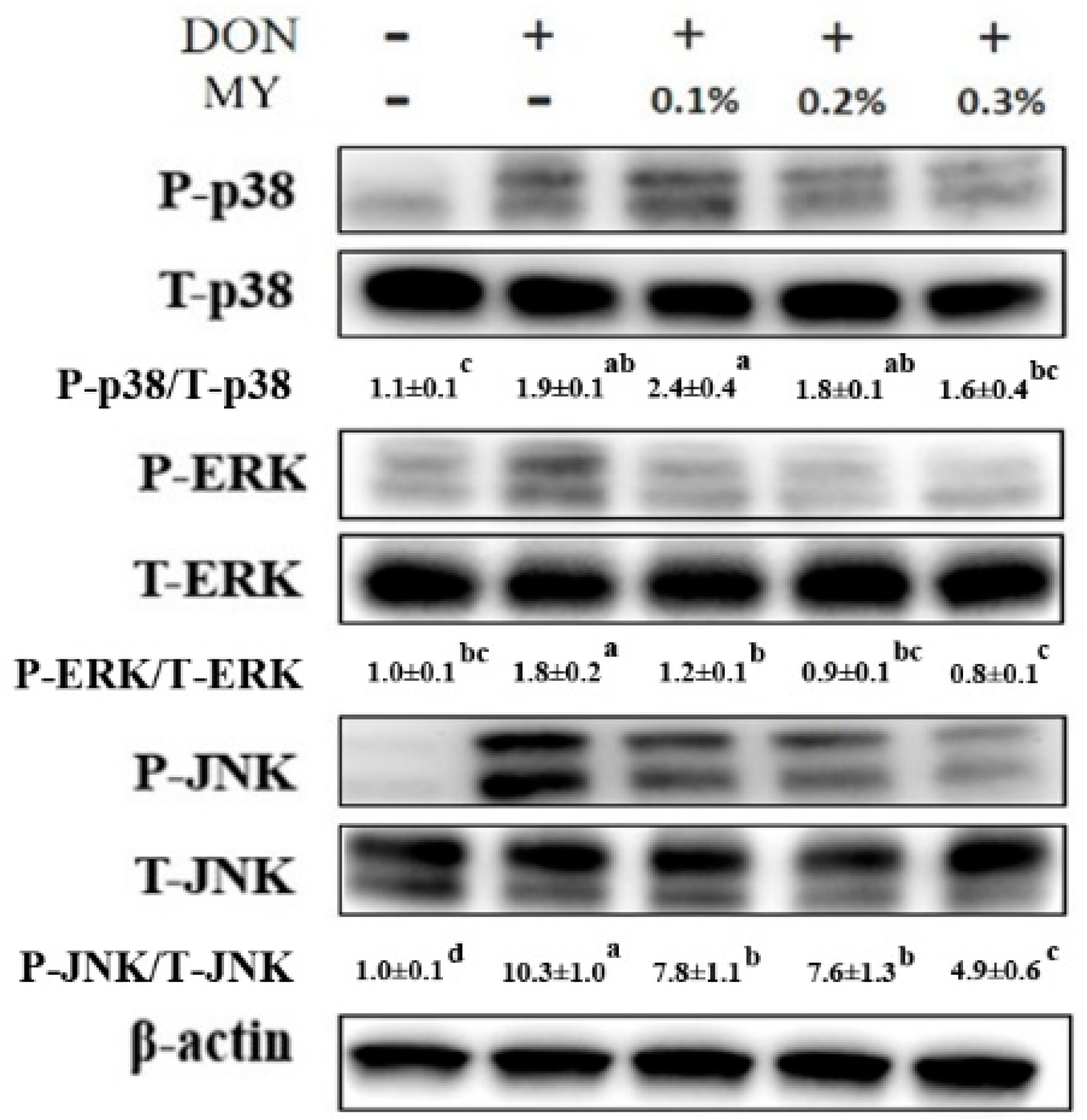 Toxins 13 00301 g005 Toxins 13 00301 g005