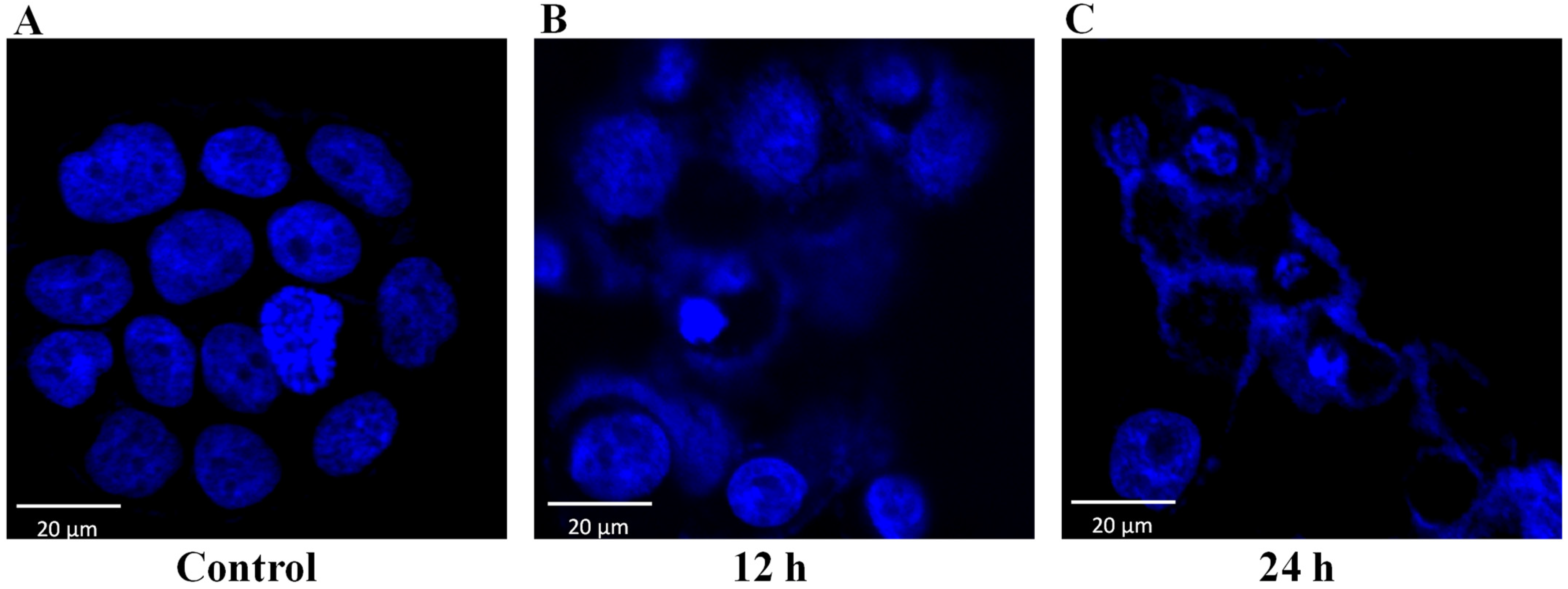 Toxins 13 00311 g003 Toxins 13 00311 g003