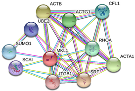 Toxins 13 00311 i006 Toxins 13 00311 i006