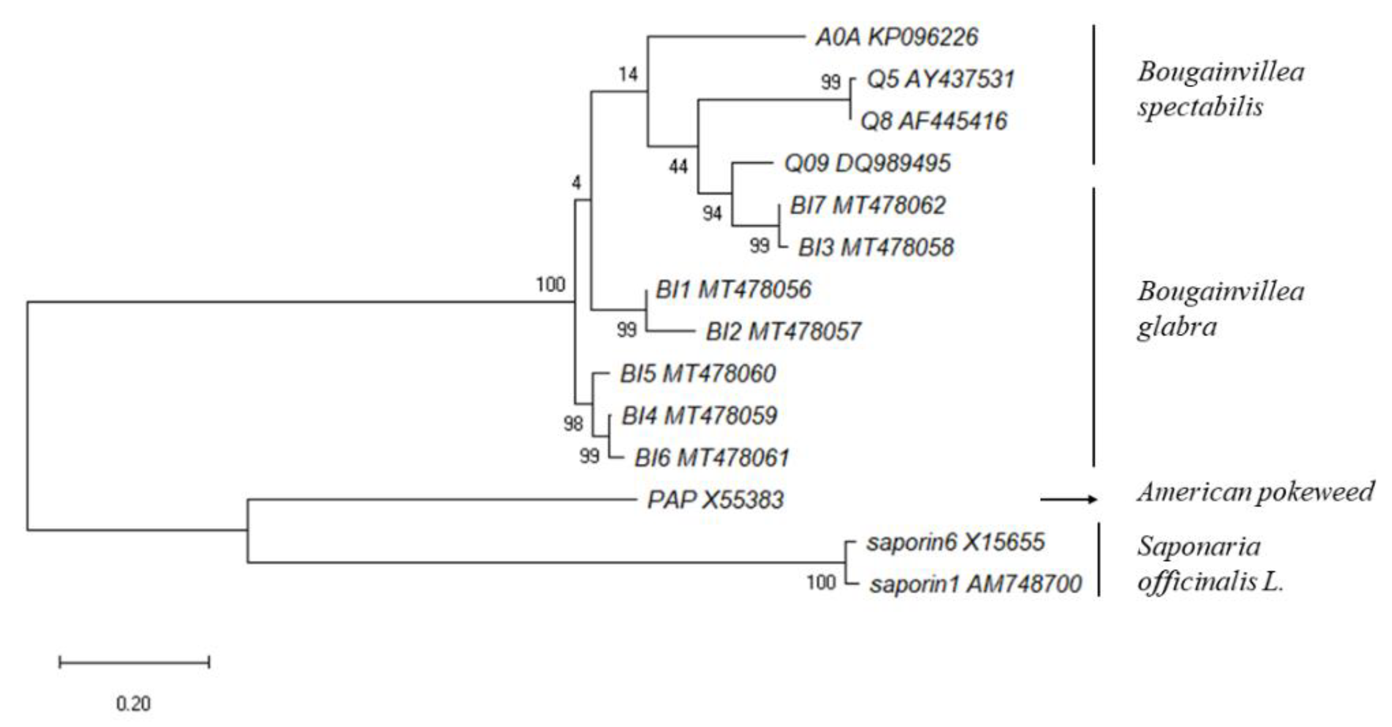 Toxins 13 00331 g003 Toxins 13 00331 g003