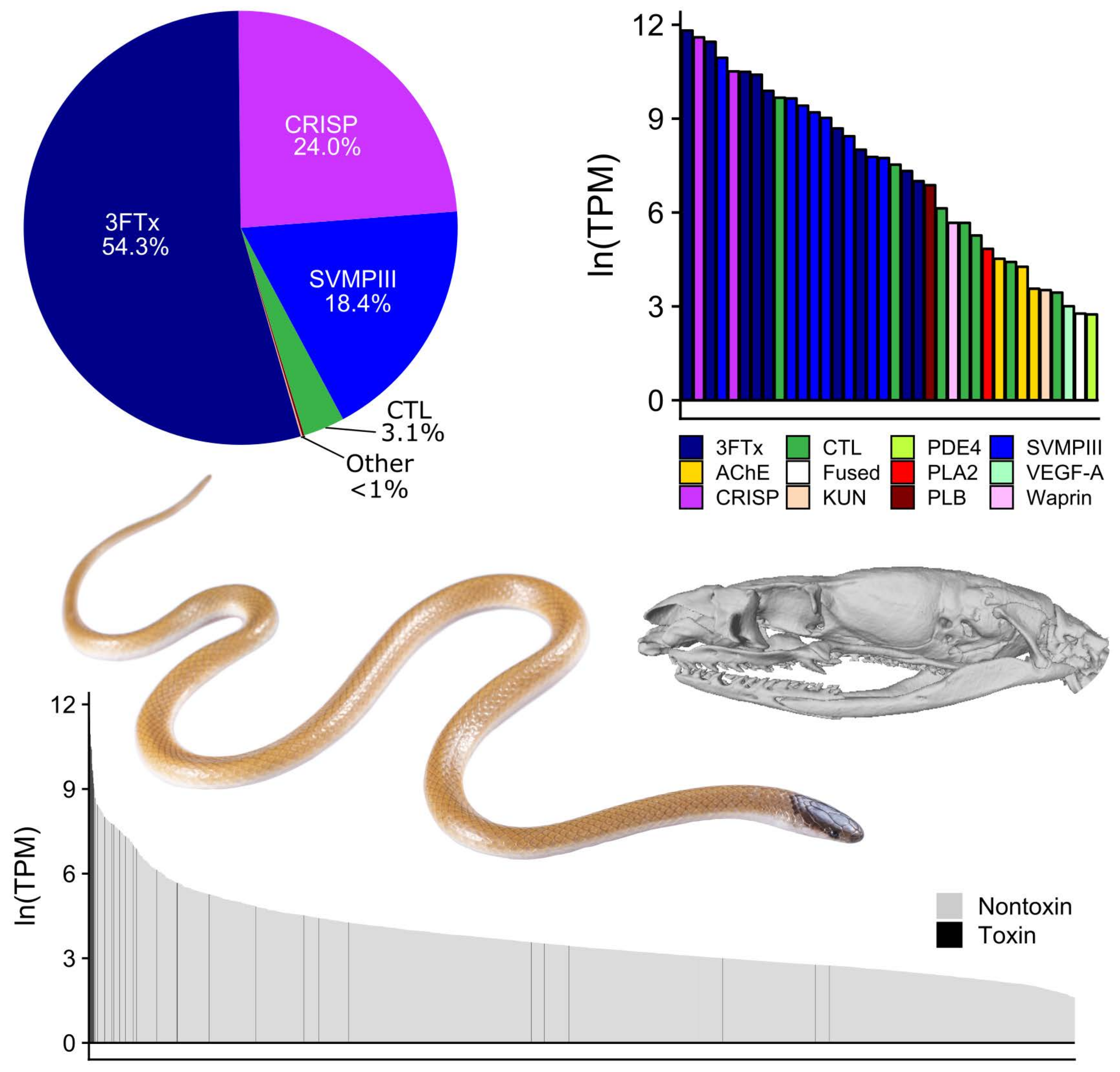 Toxins 13 00336 g002