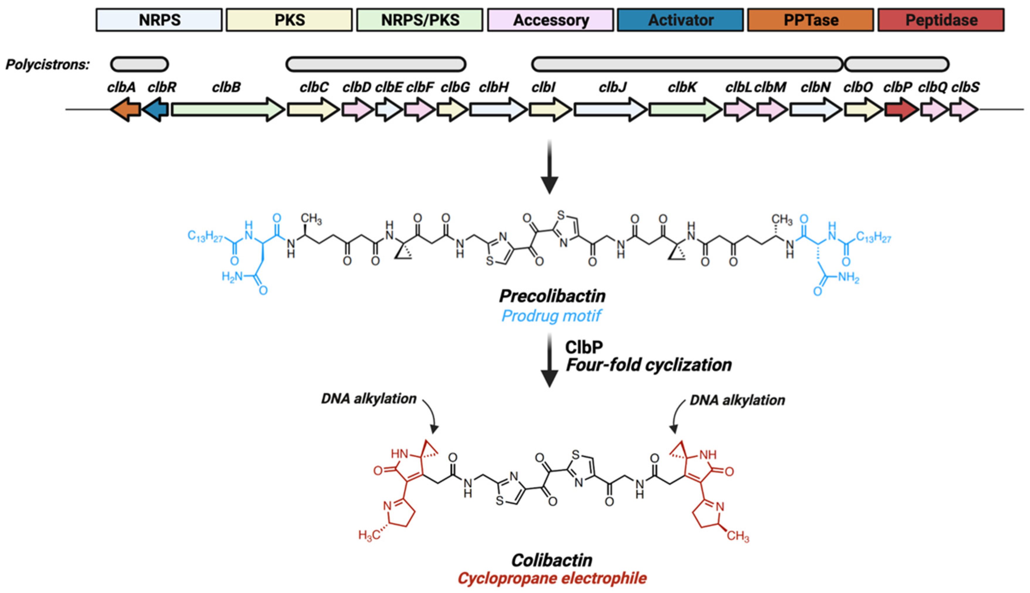 Toxins 13 00346 g001 Toxins 13 00346 g001