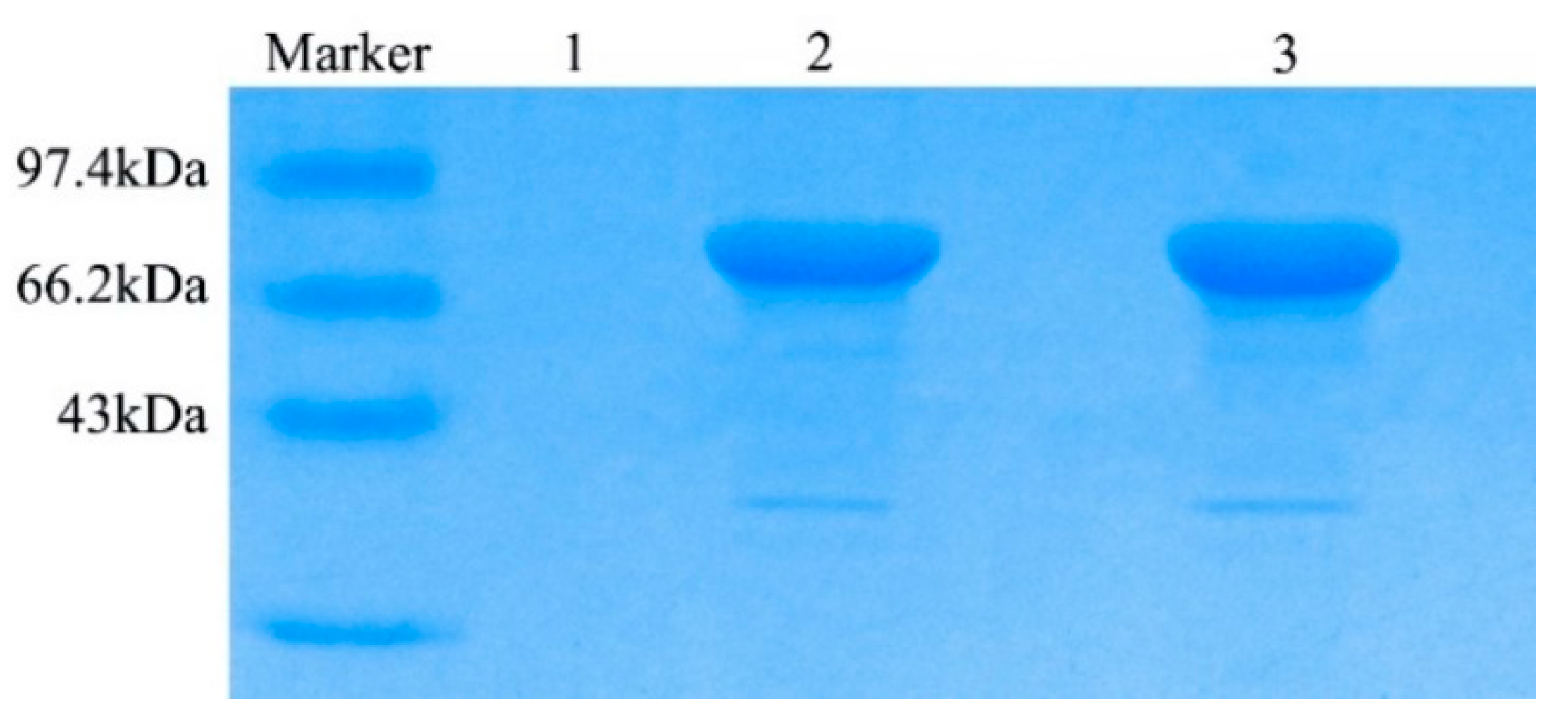 Toxins 13 00349 g005
