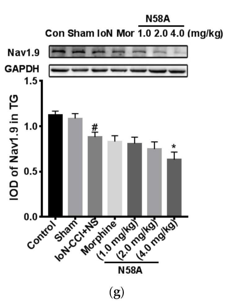 Toxins 13 00357 g003b