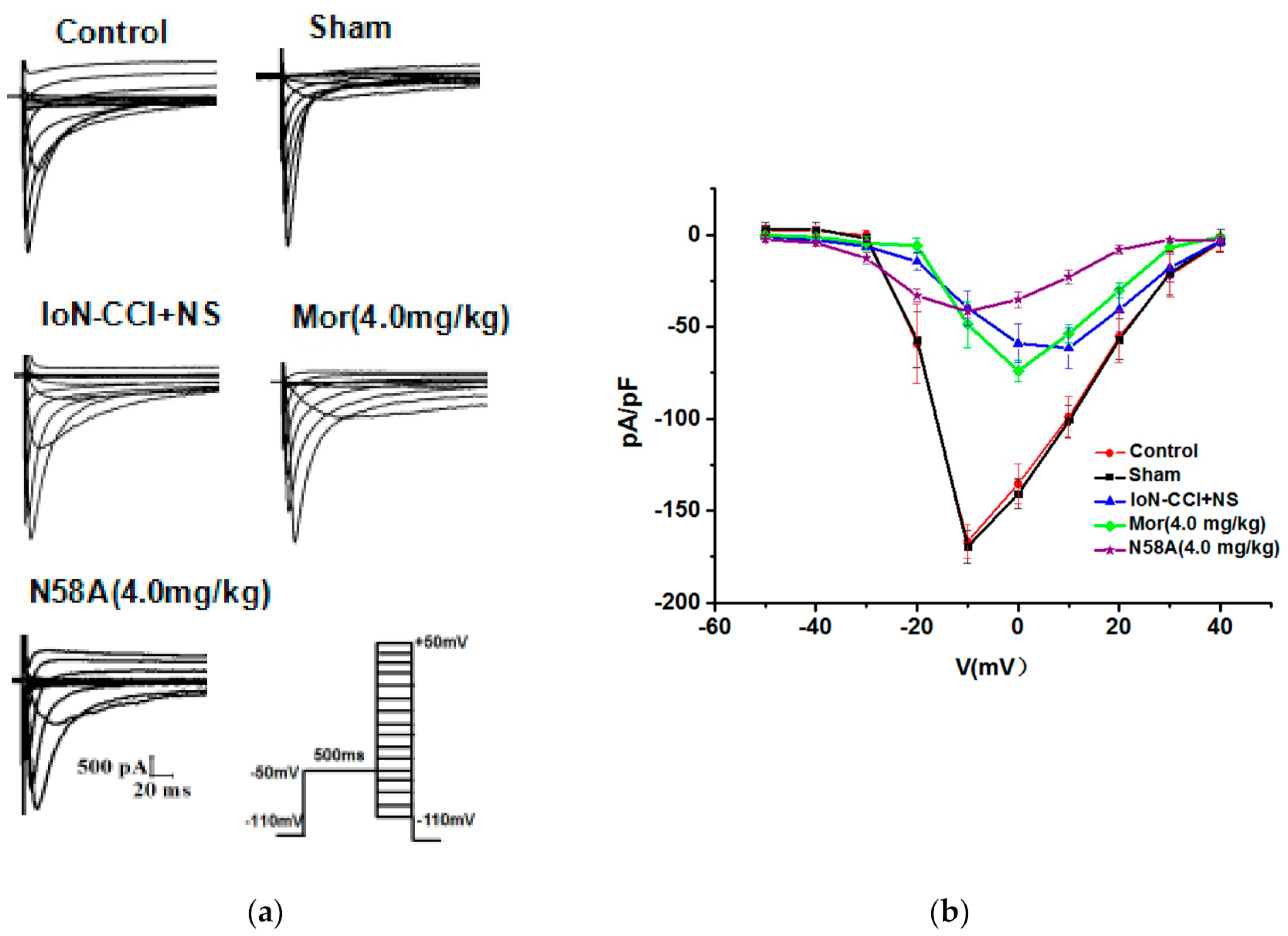 Toxins 13 00357 g006a