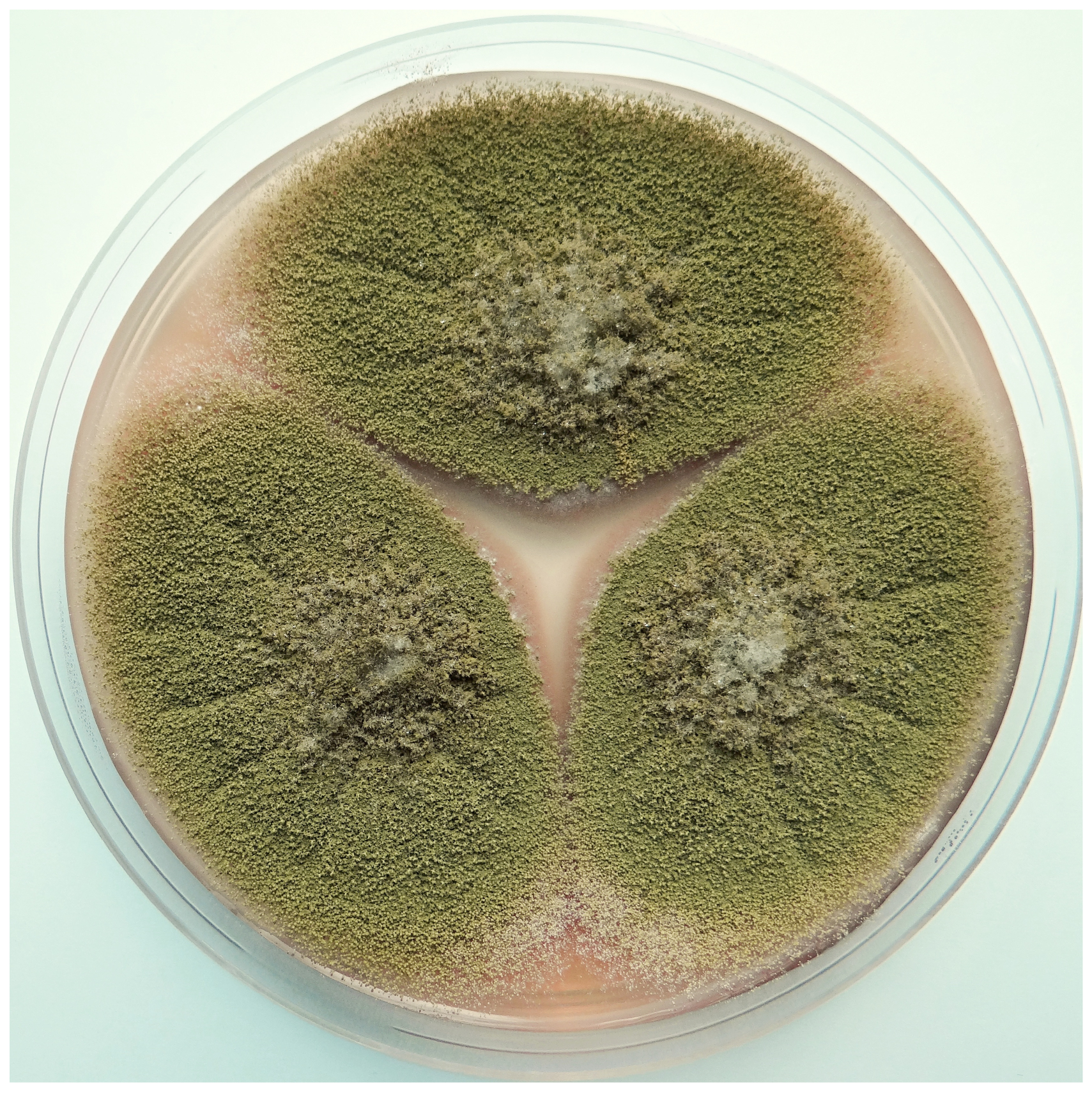 Toxins 13 00399 g002 Toxins 13 00399 g002