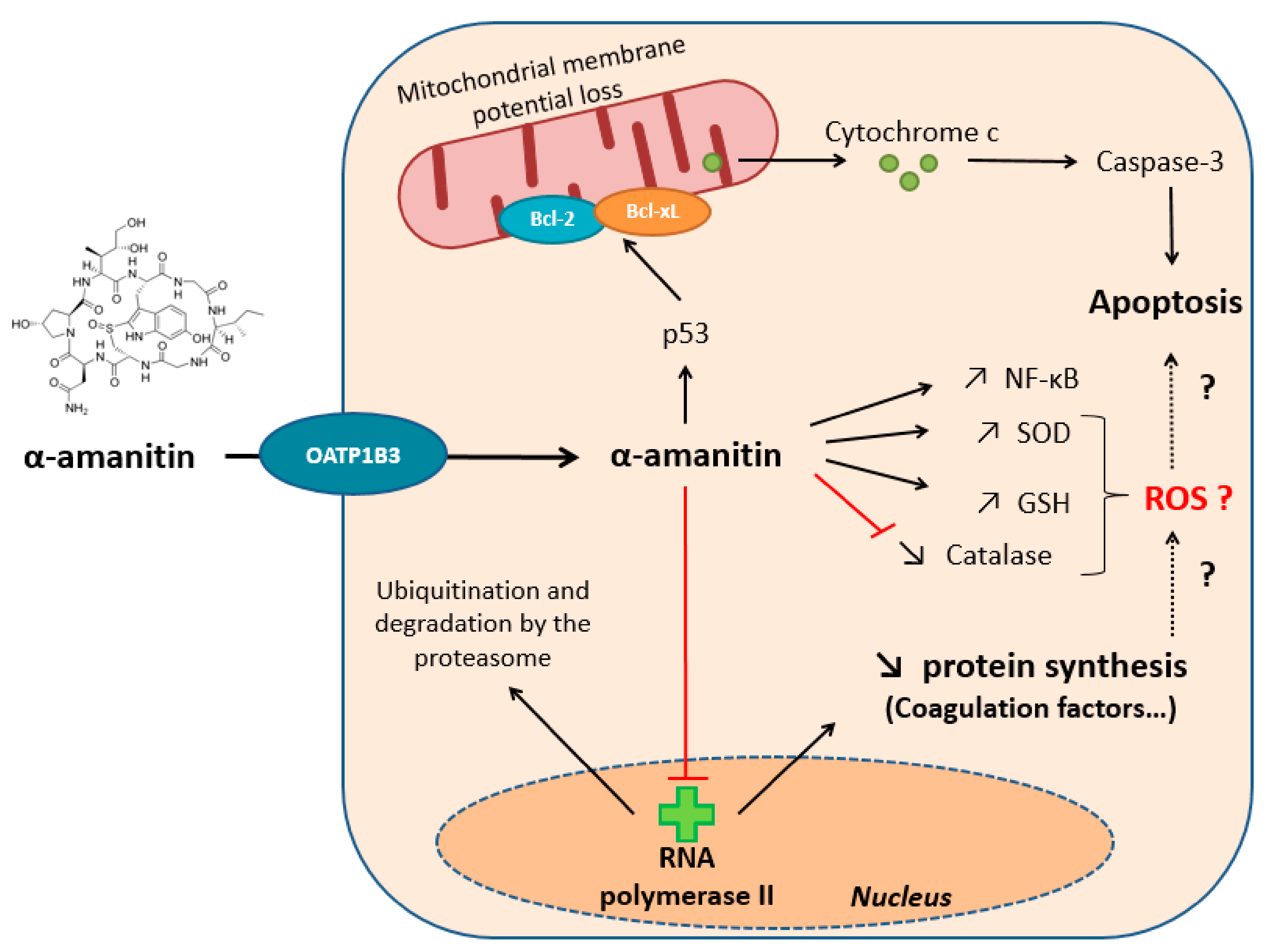 Toxins 13 00417 g002