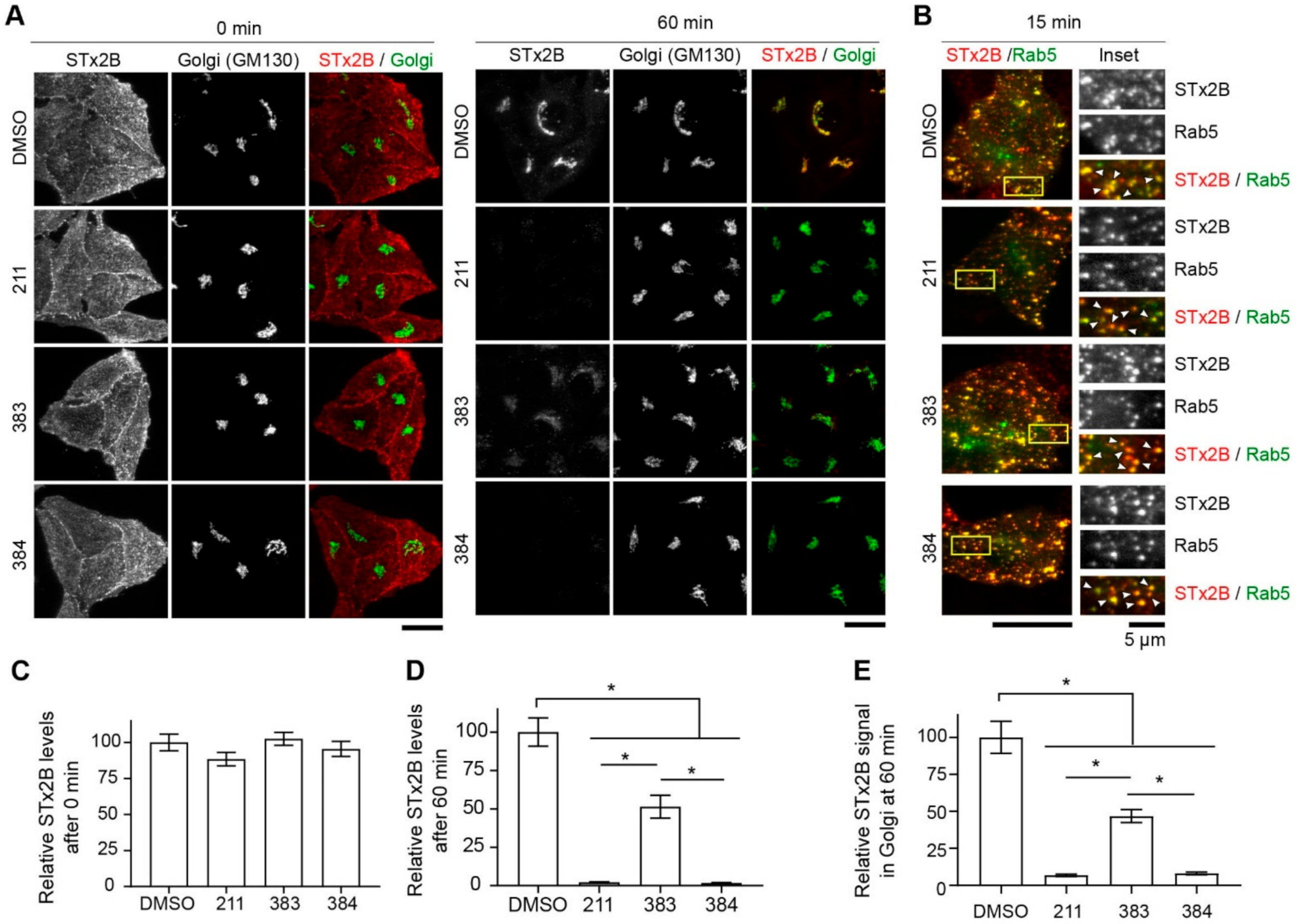 Toxins 13 00424 g005 Toxins 13 00424 g005