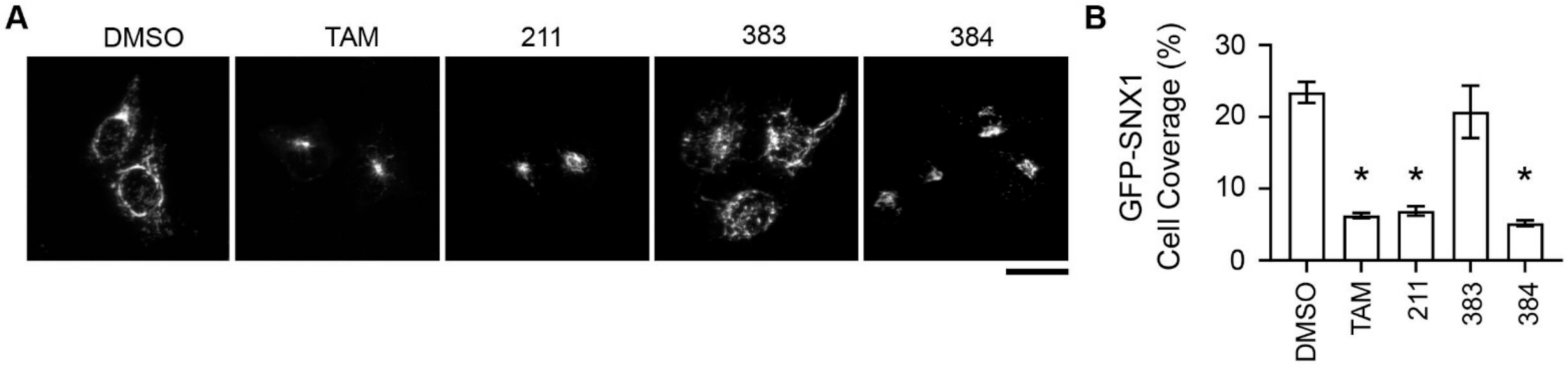 Toxins 13 00424 g008 Toxins 13 00424 g008
