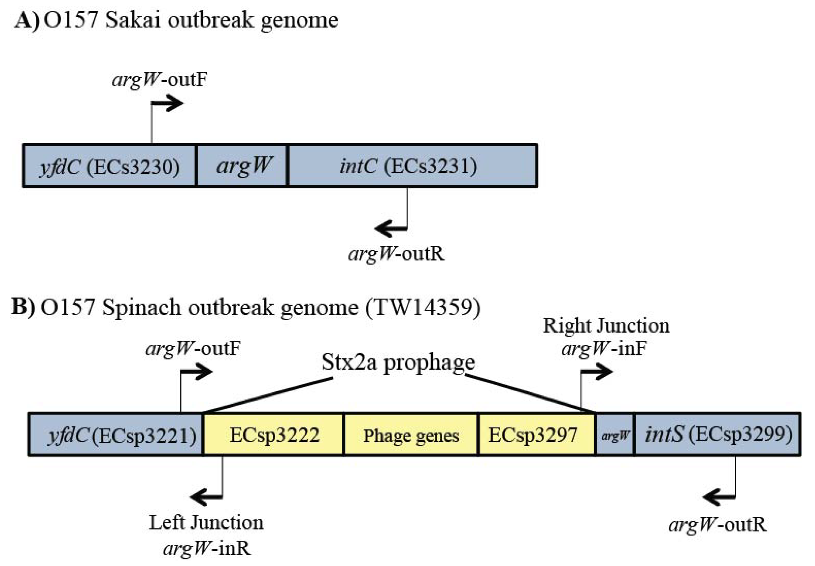 Toxins 13 00433 g005 Toxins 13 00433 g005