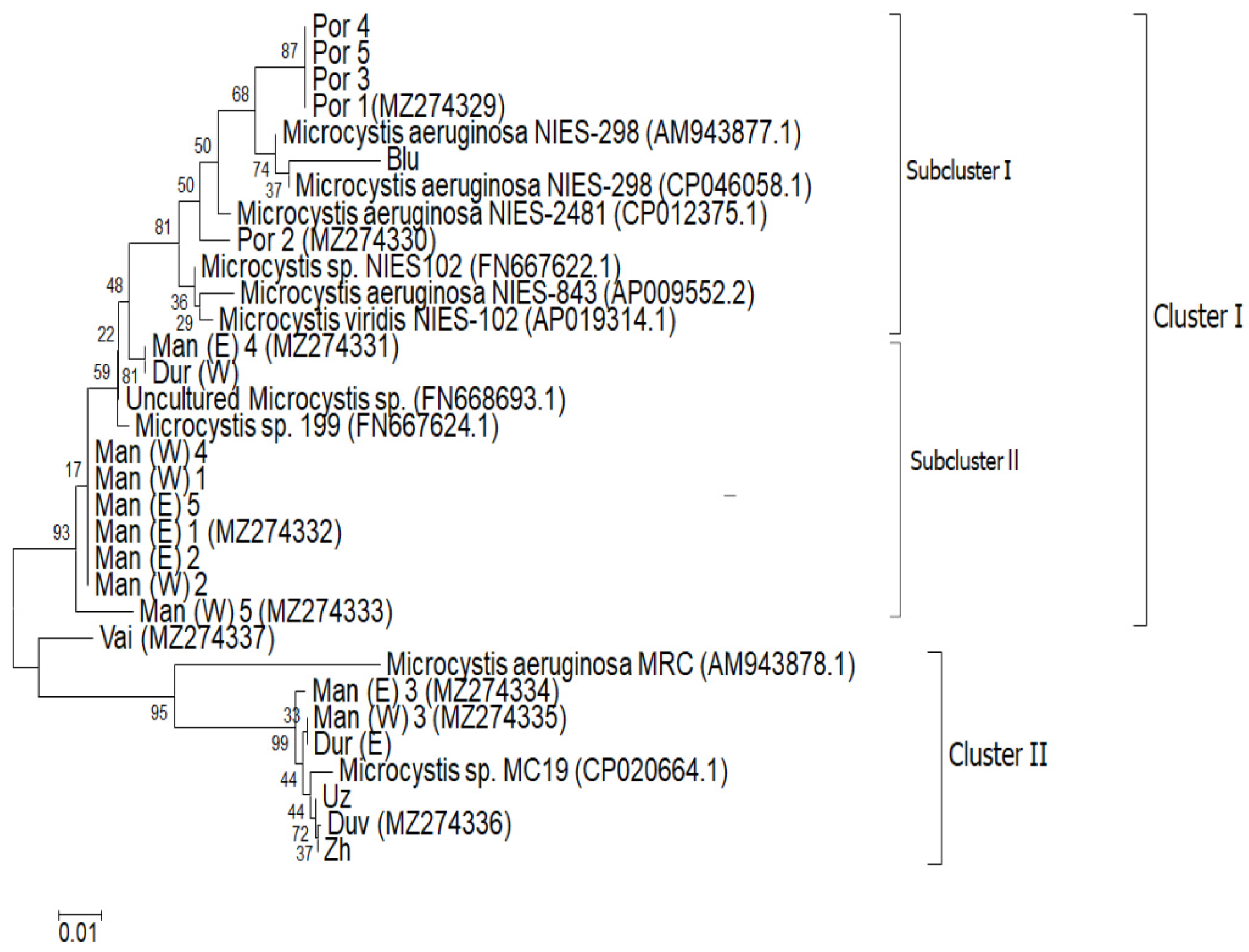 Toxins 13 00448 g005