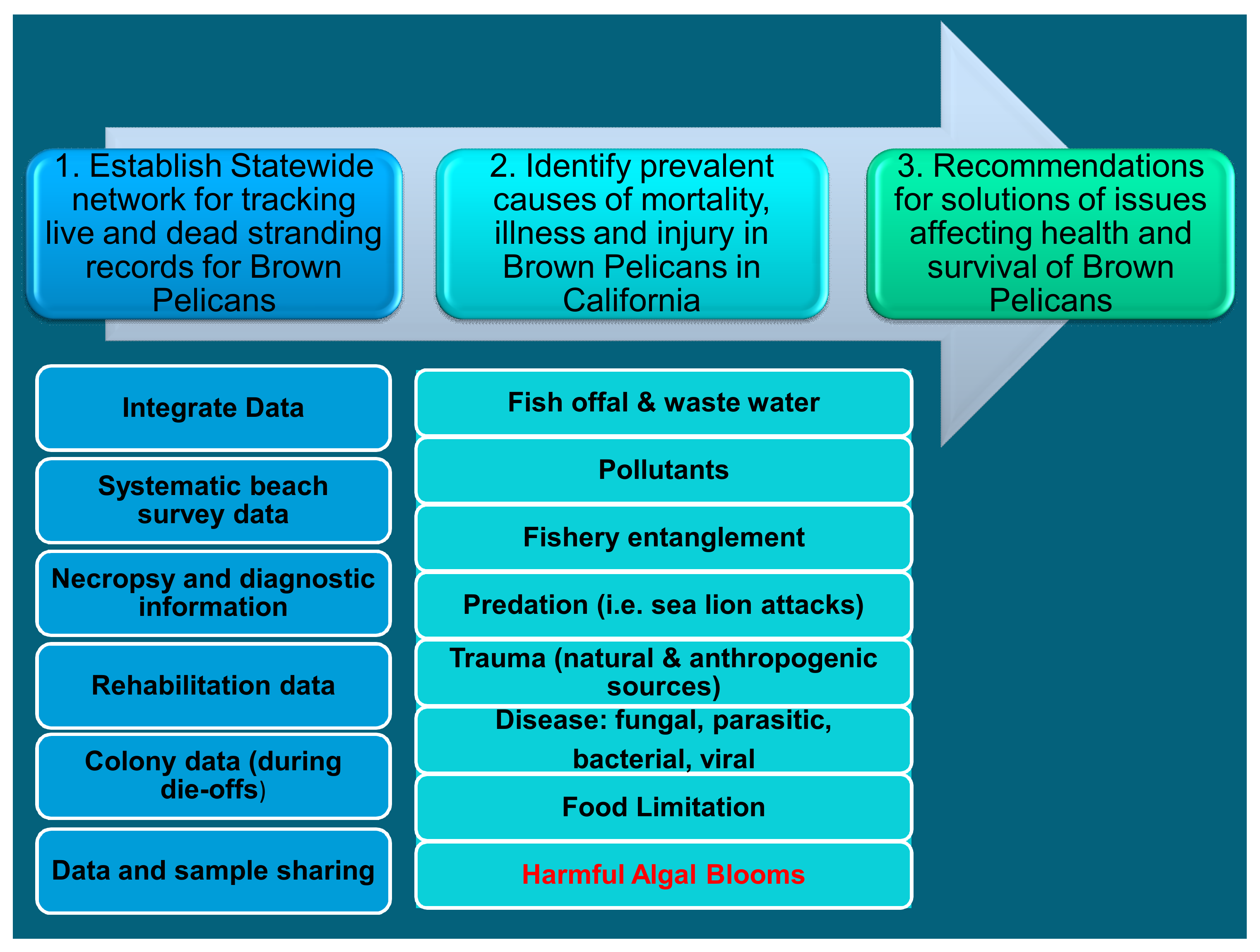 Toxins 13 00454 g003 Toxins 13 00454 g003