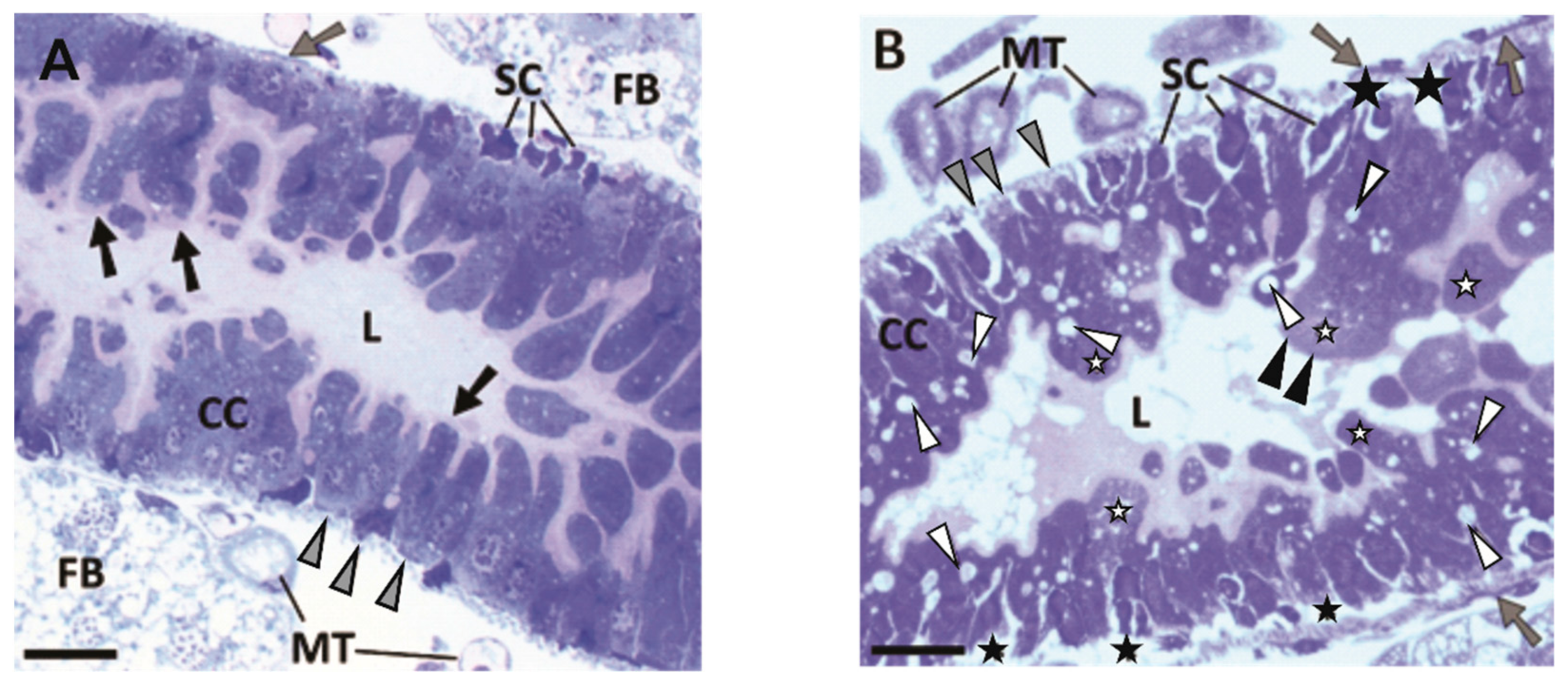 Toxins 13 00455 g002 550