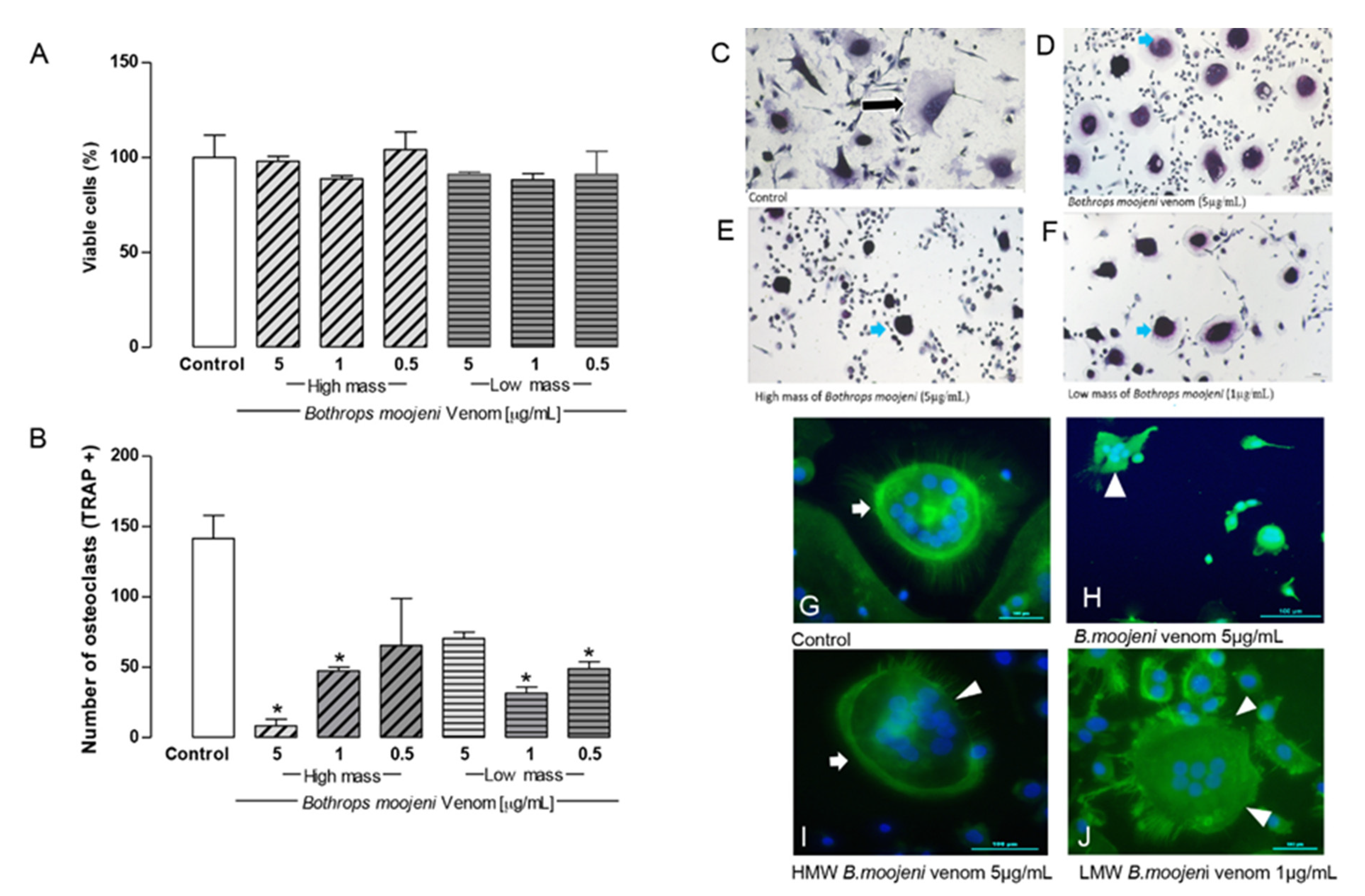 Toxins 13 00459 g002