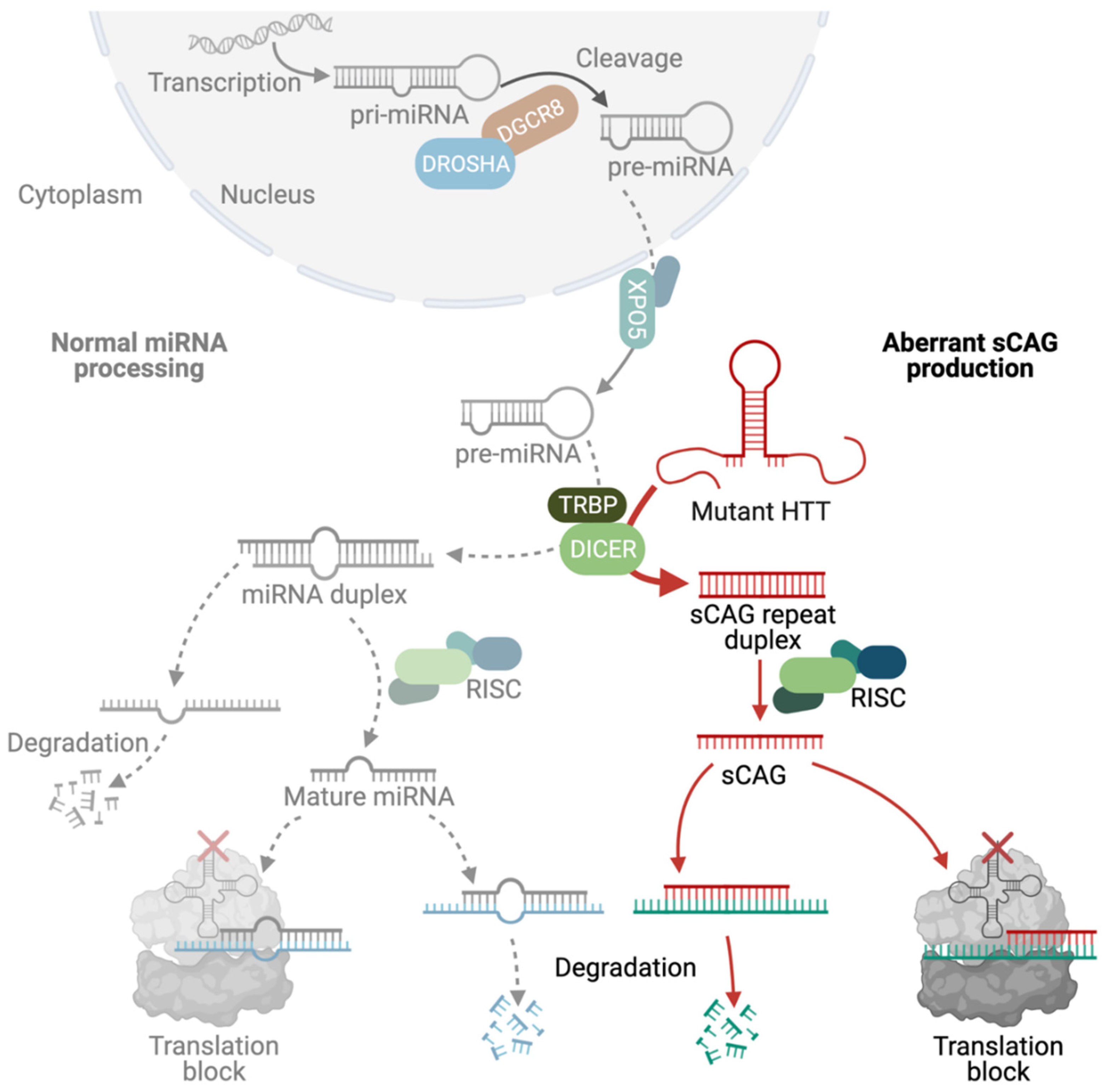 Toxins 13 00487 g006