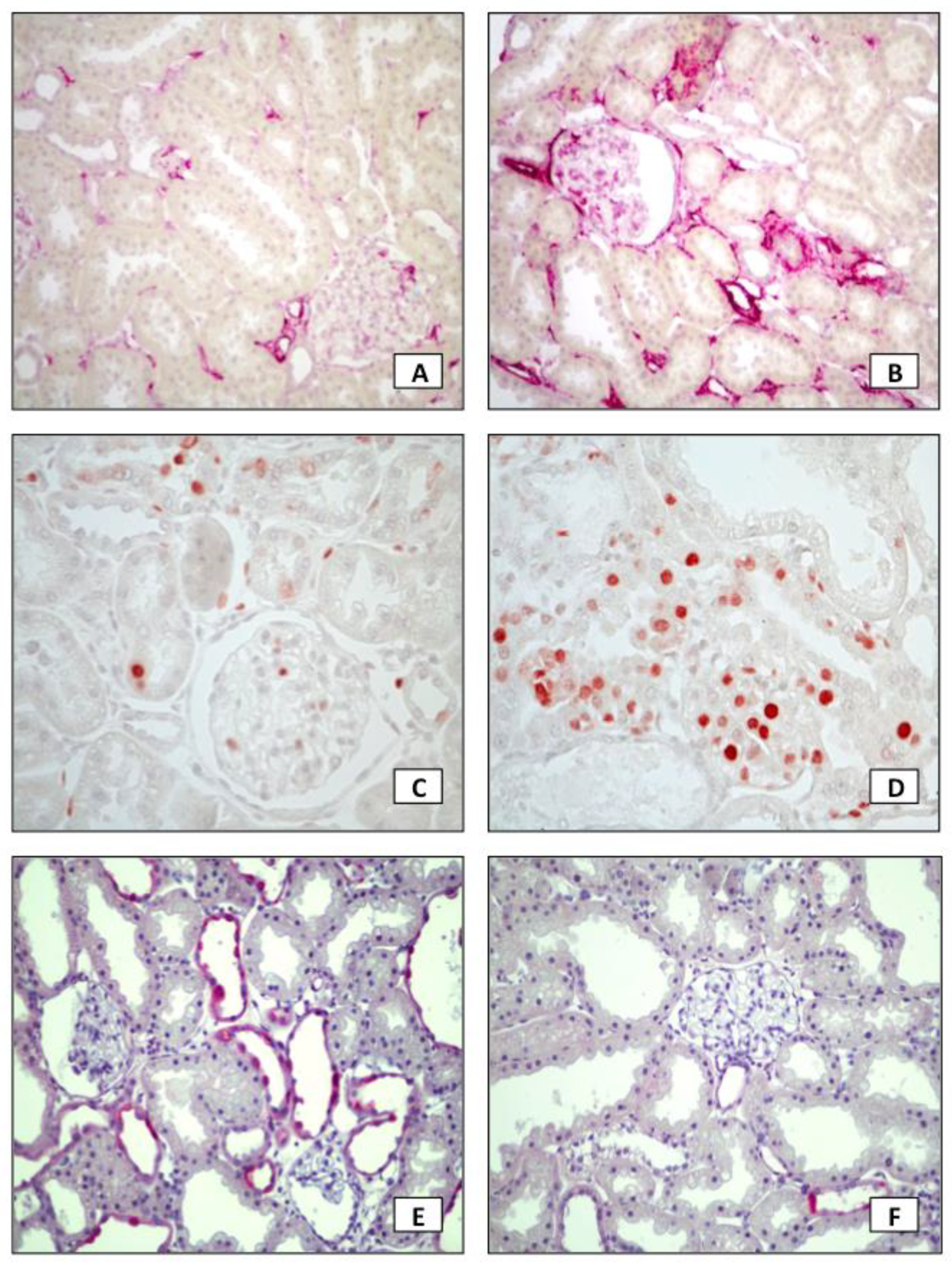 Toxins 13 00503 g002 Toxins 13 00503 g002