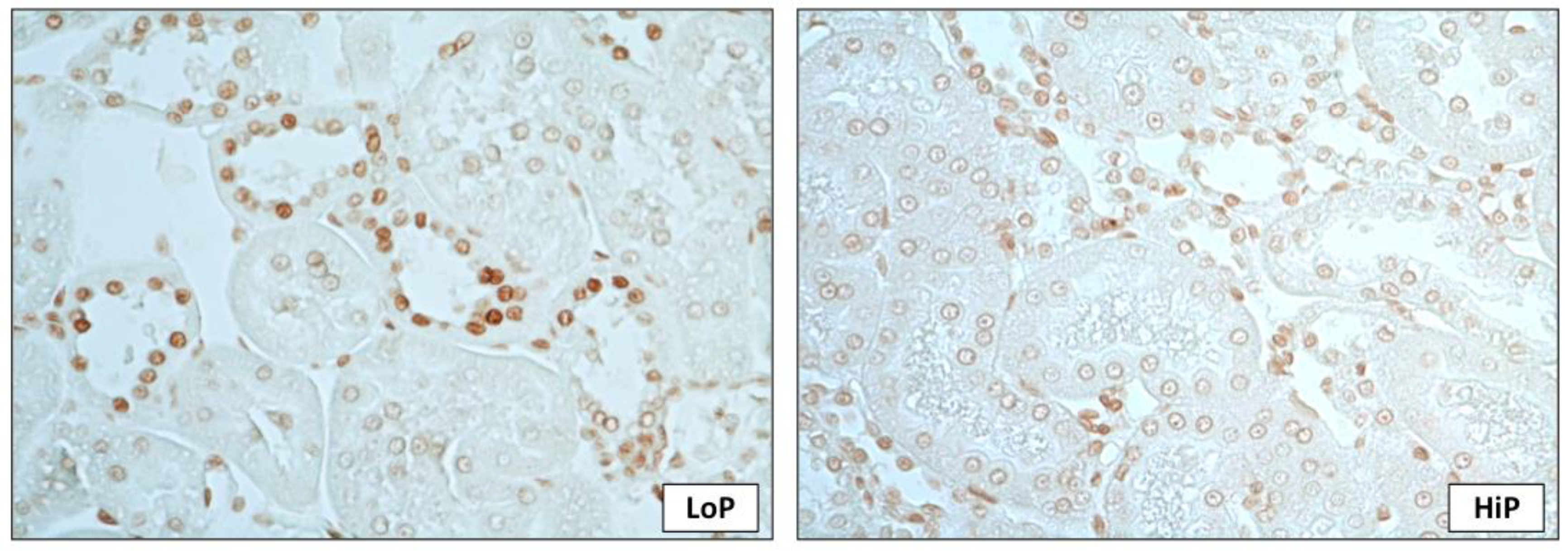 Toxins 13 00503 g003 Toxins 13 00503 g003