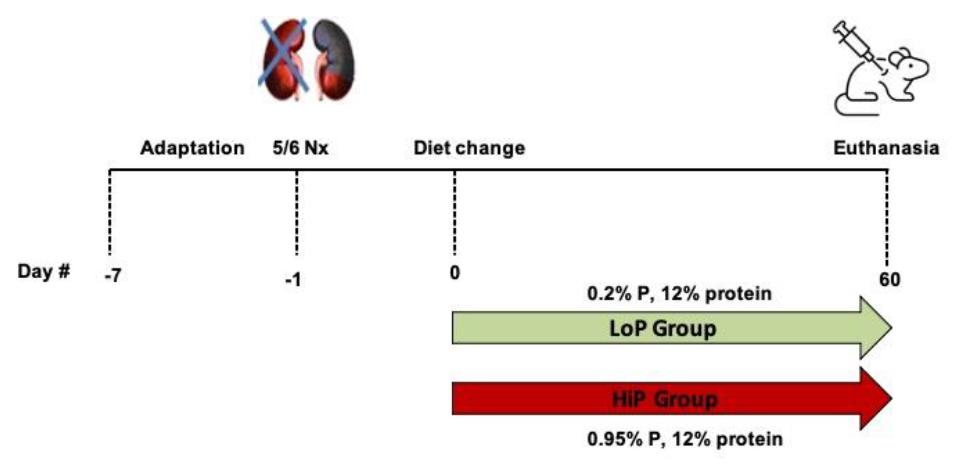 Toxins 13 00503 g0a1 Toxins 13 00503 g0a1