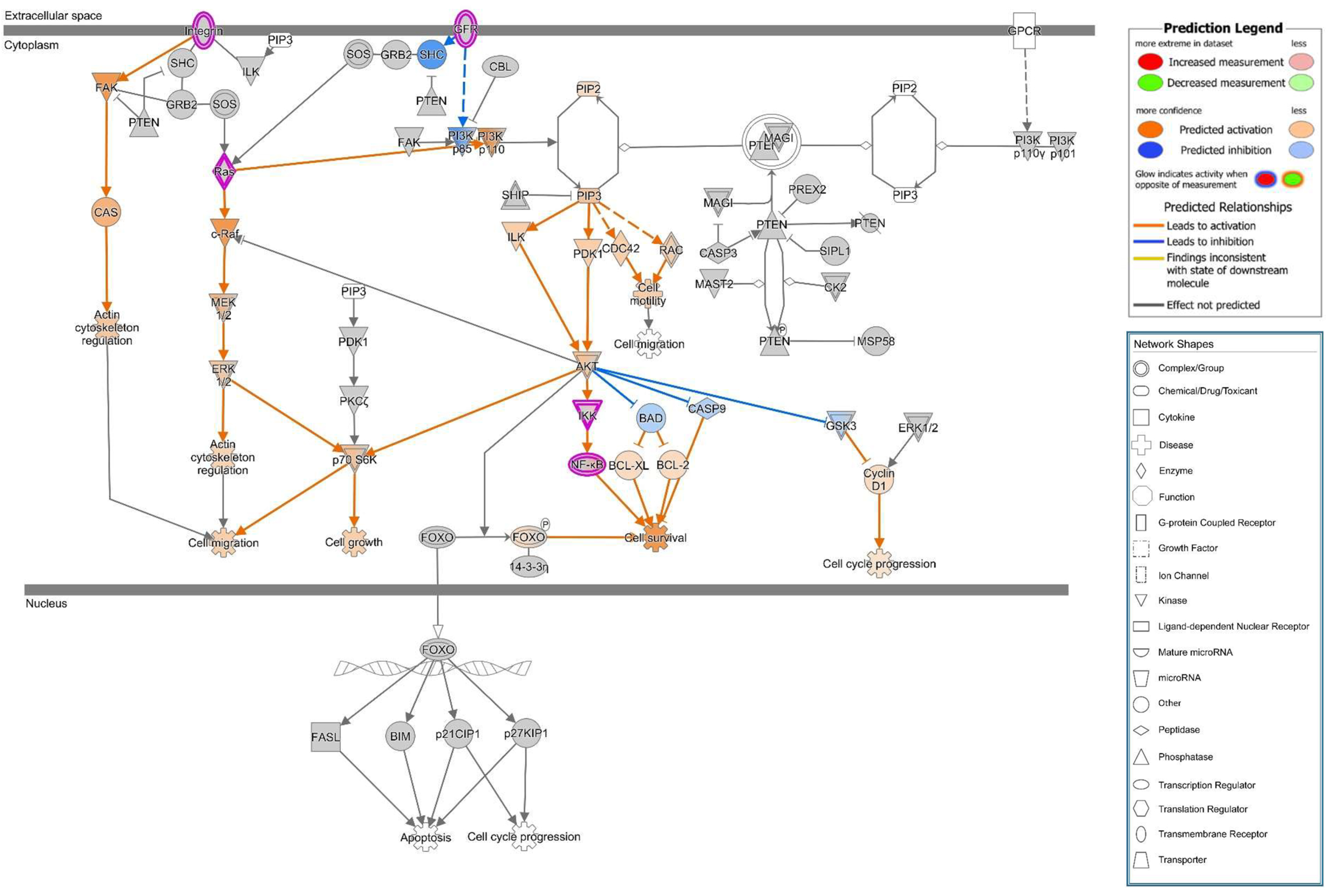 Toxins 13 00520 g010 550
