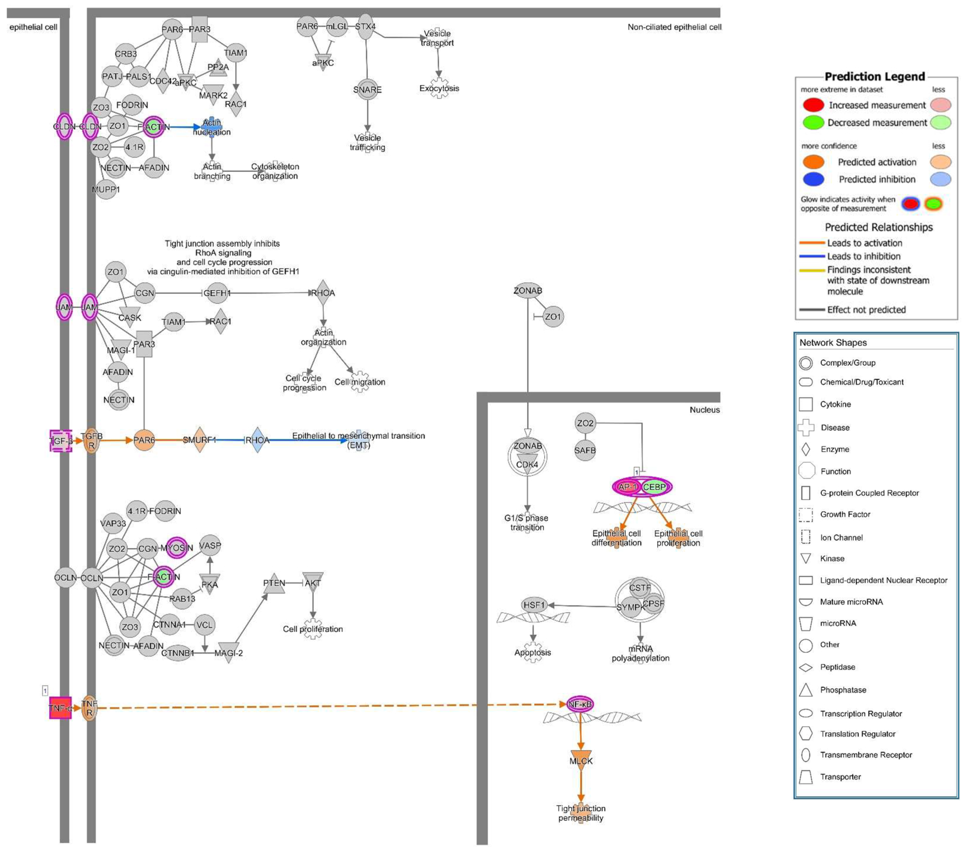 Toxins 13 00520 g011 550