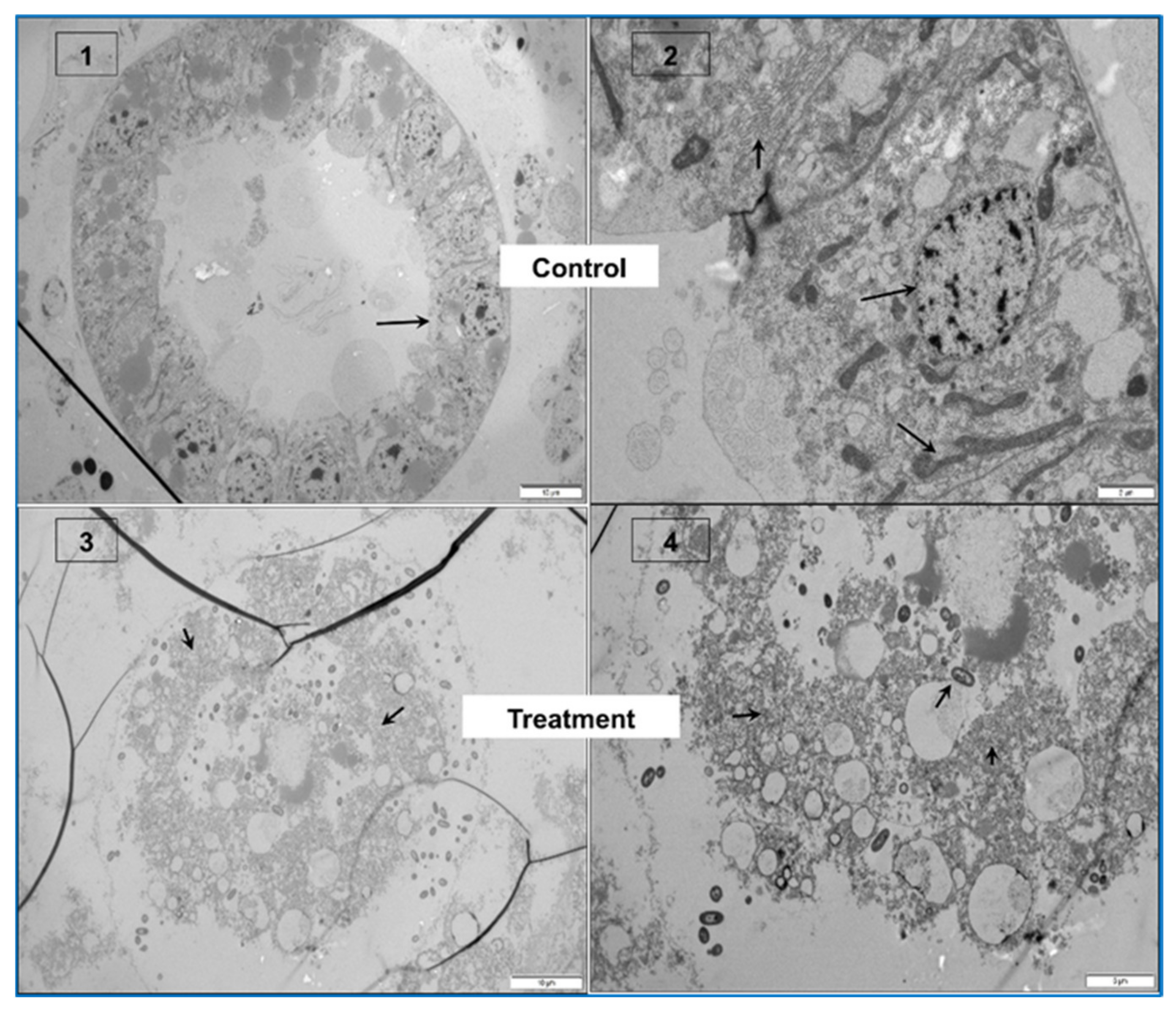 Toxins 13 00524 g004b Toxins 13 00524 g004b
