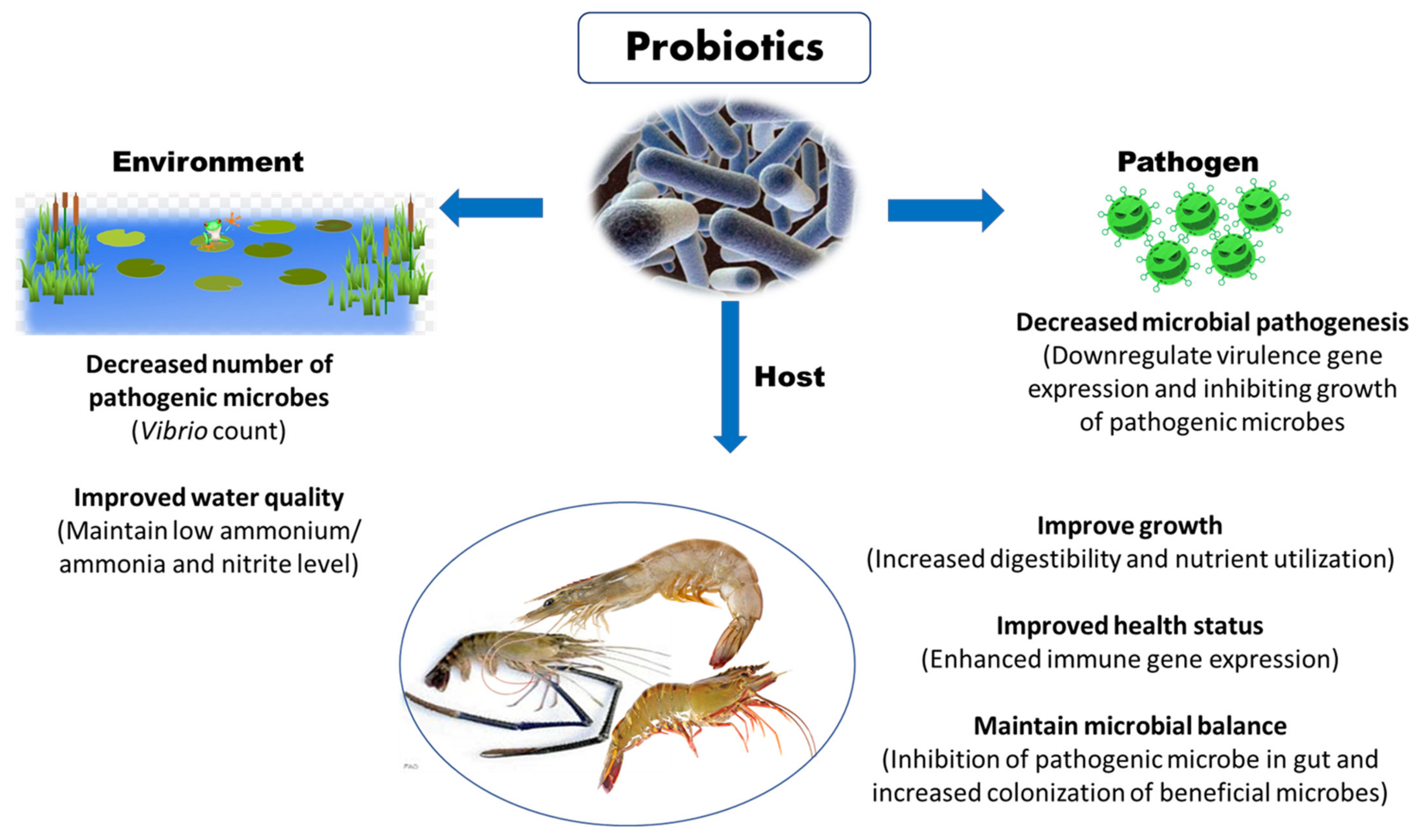 Toxins 13 00524 g005 Toxins 13 00524 g005