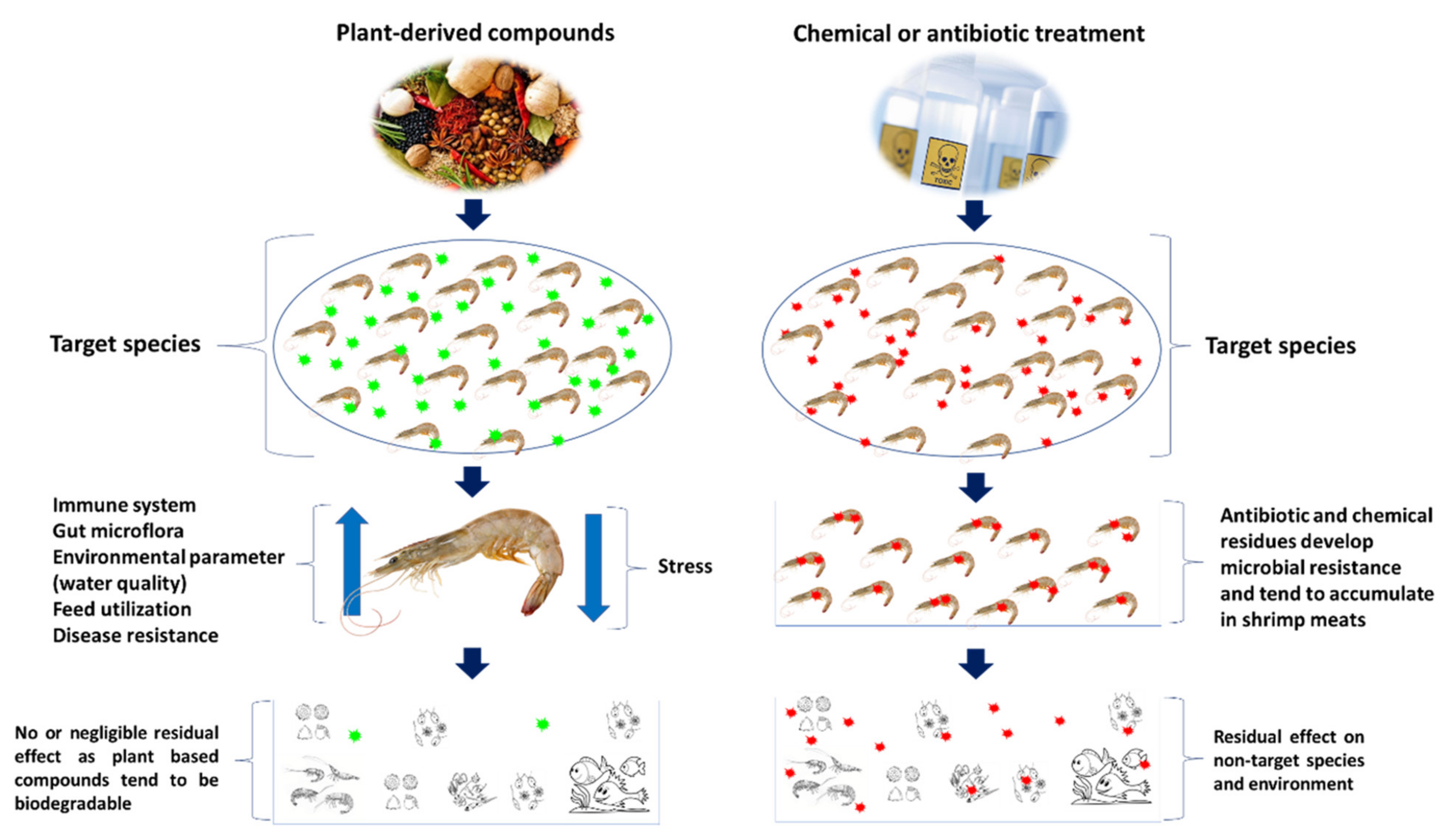 Toxins 13 00524 g007 Toxins 13 00524 g007