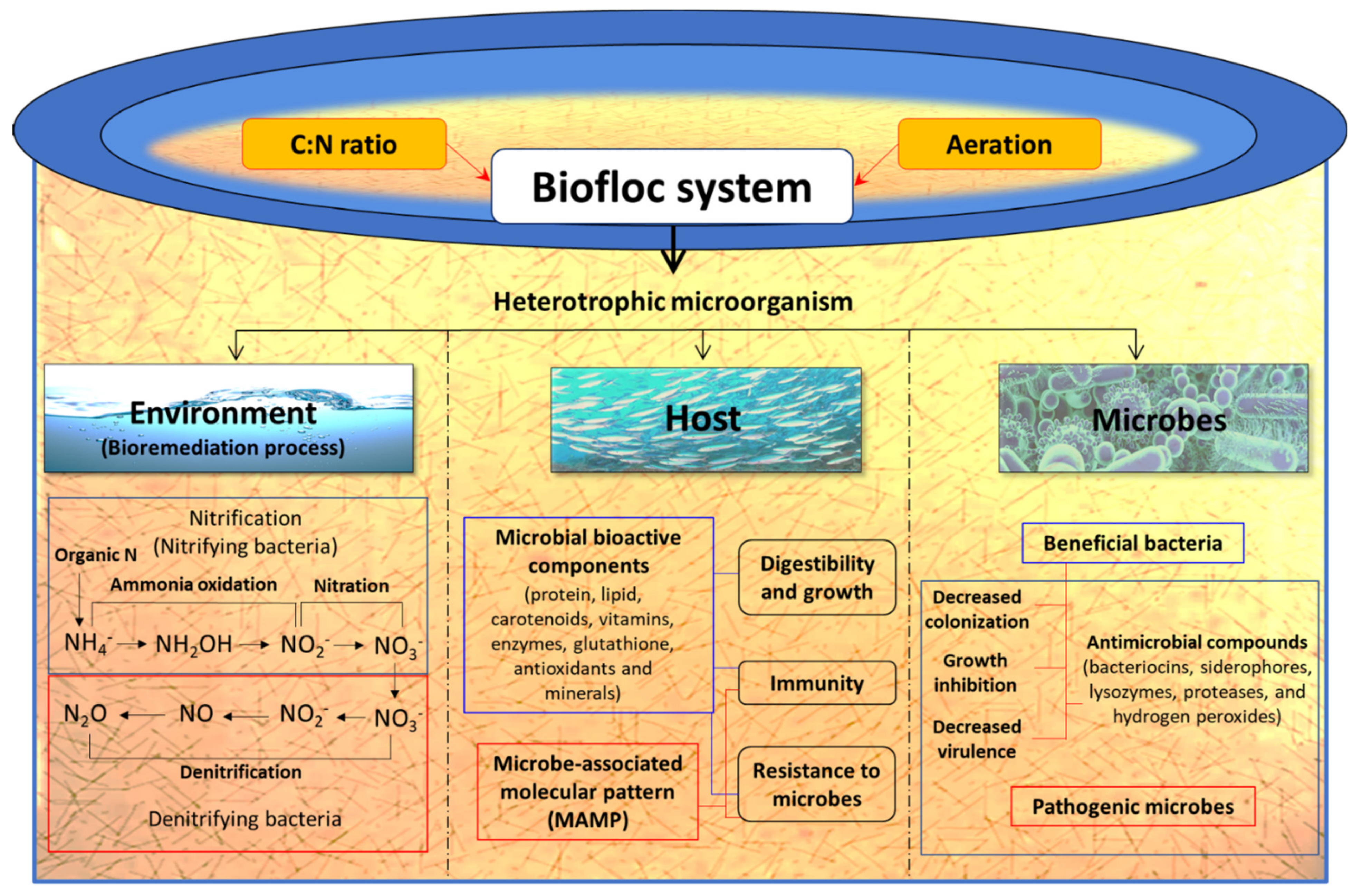 Toxins 13 00524 g008 Toxins 13 00524 g008