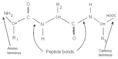 Toxins 13 00524 i004 Toxins 13 00524 i004