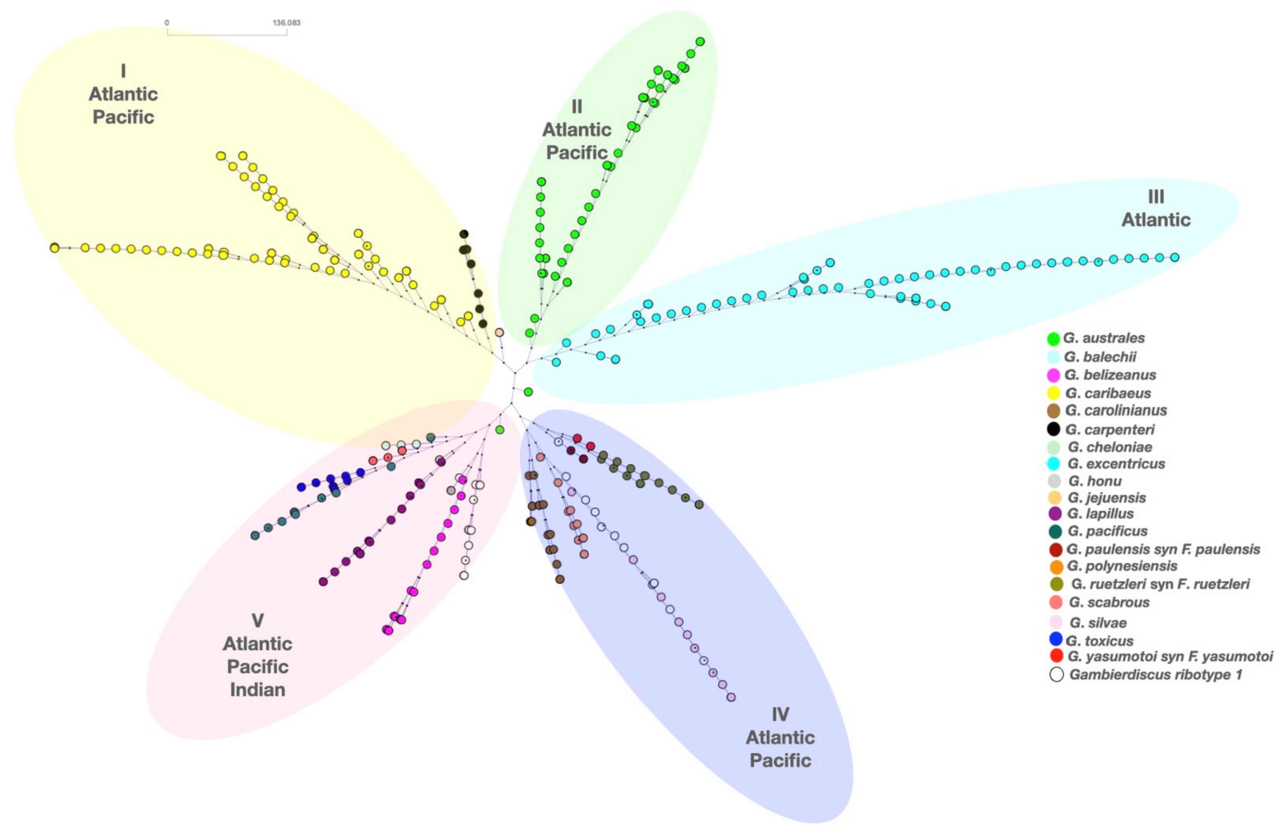 Toxins 13 00525 g008 550