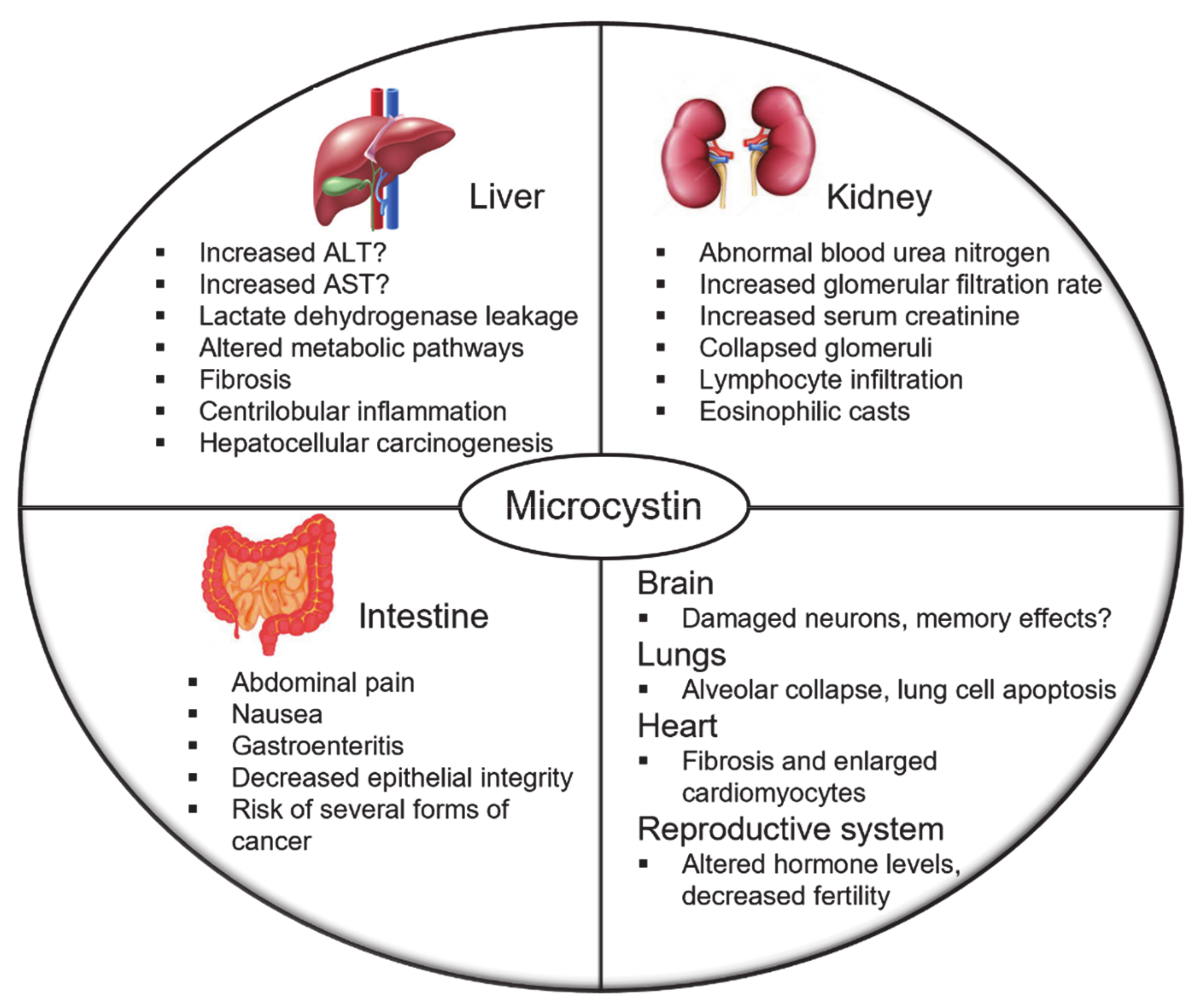 Toxins 13 00537 g004 550