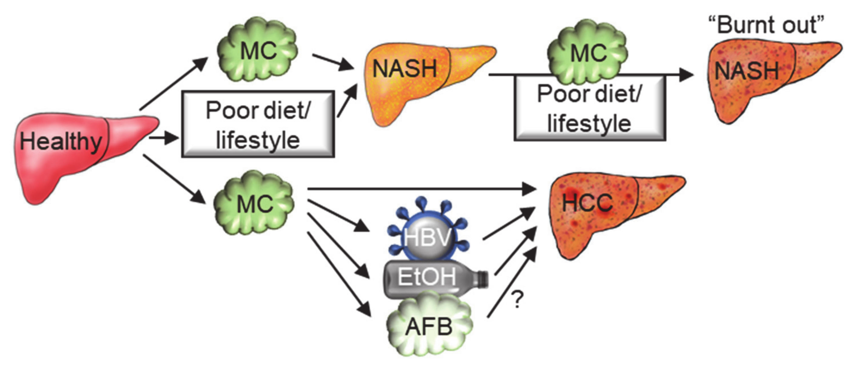 Toxins 13 00537 g005 550