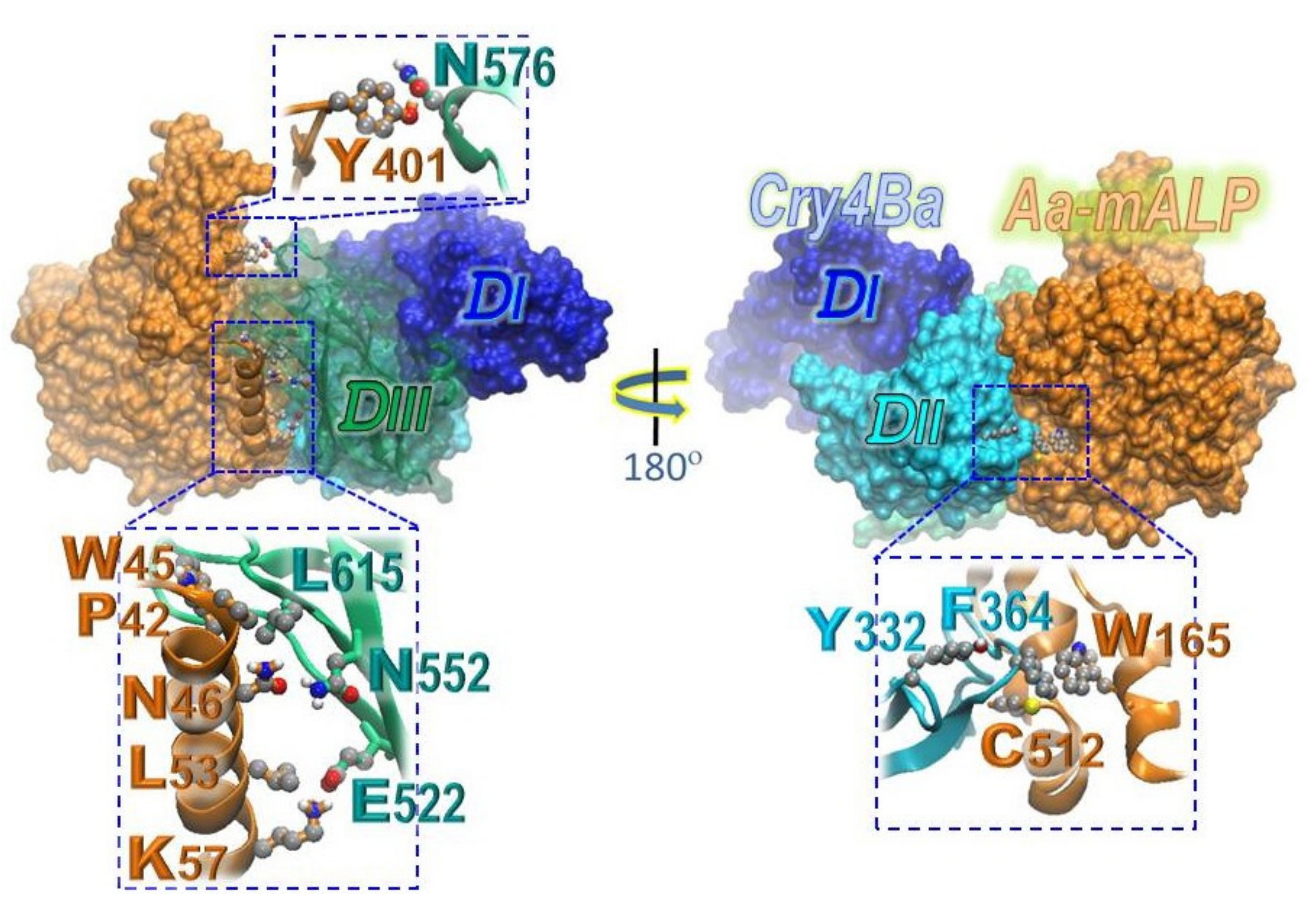 Toxins 13 00553 g004 550