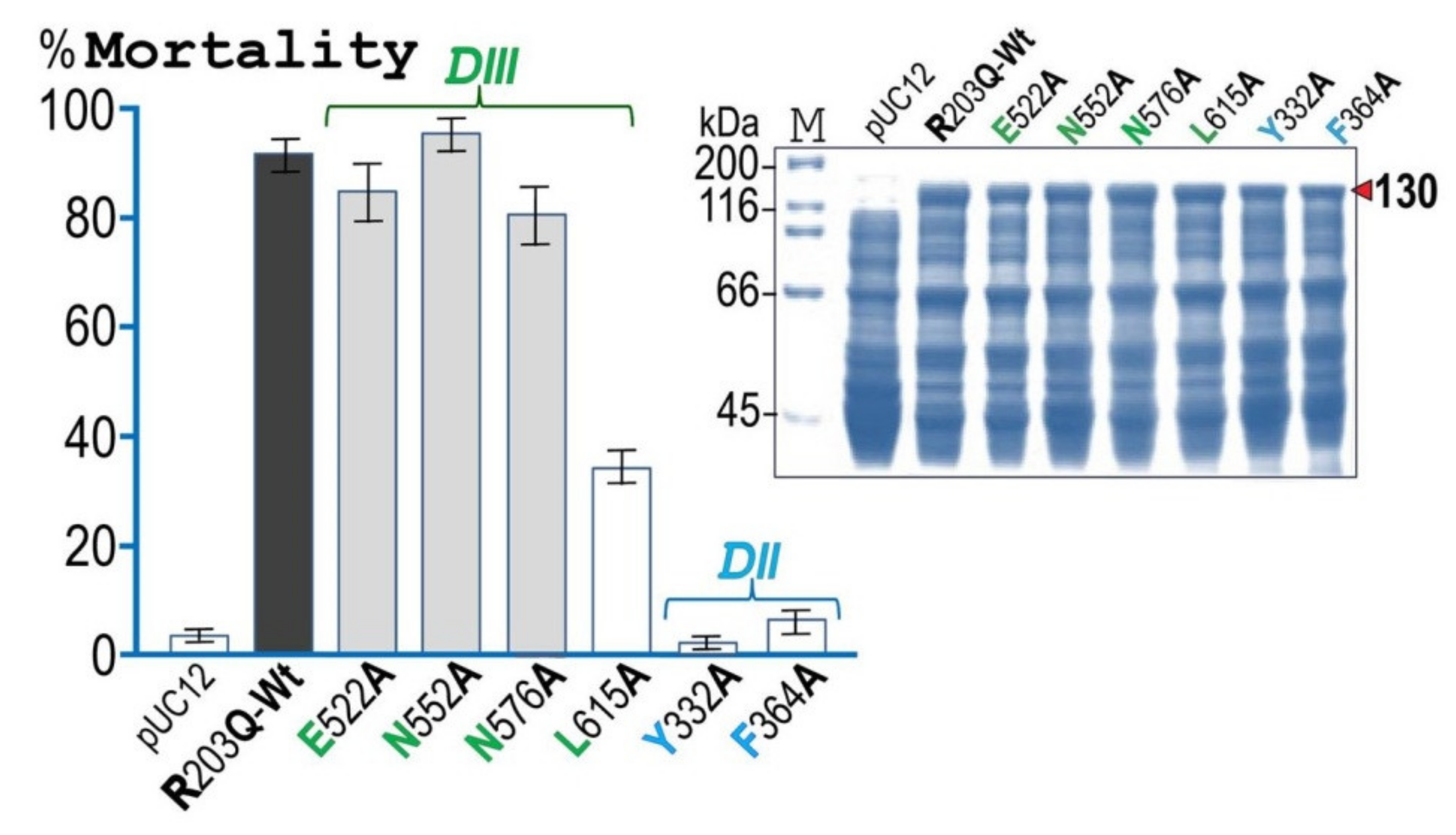 Toxins 13 00553 g005 550