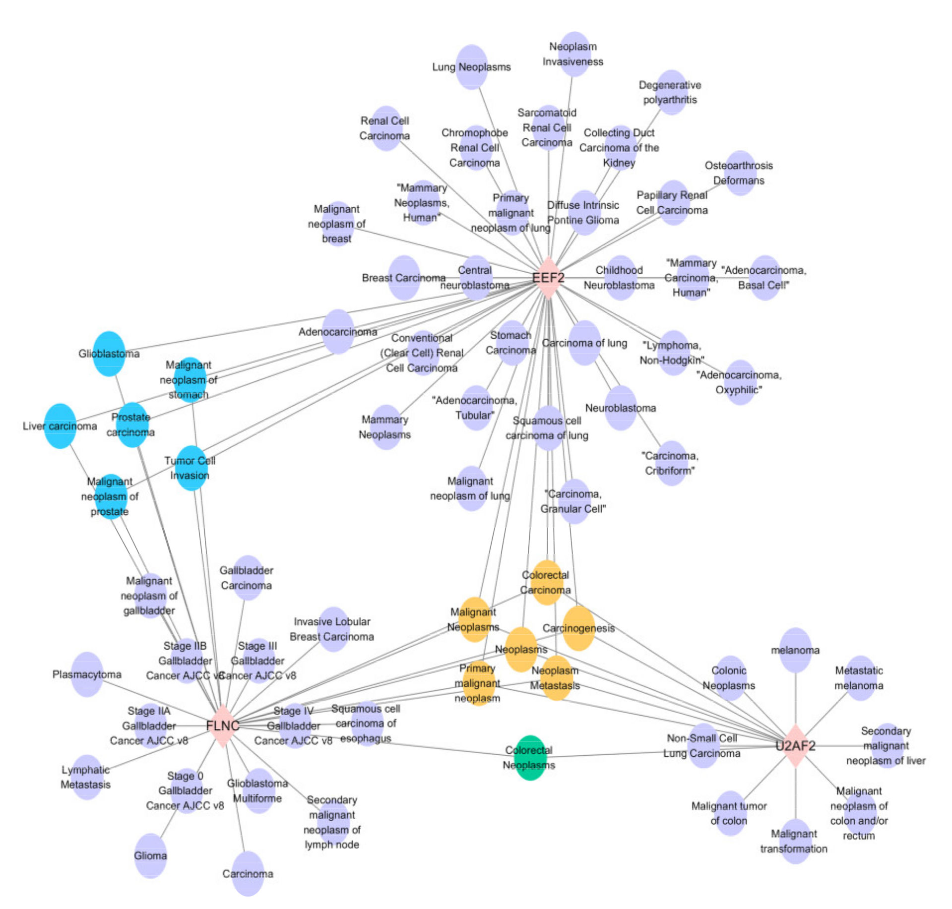 Toxins 13 00554 g007 550