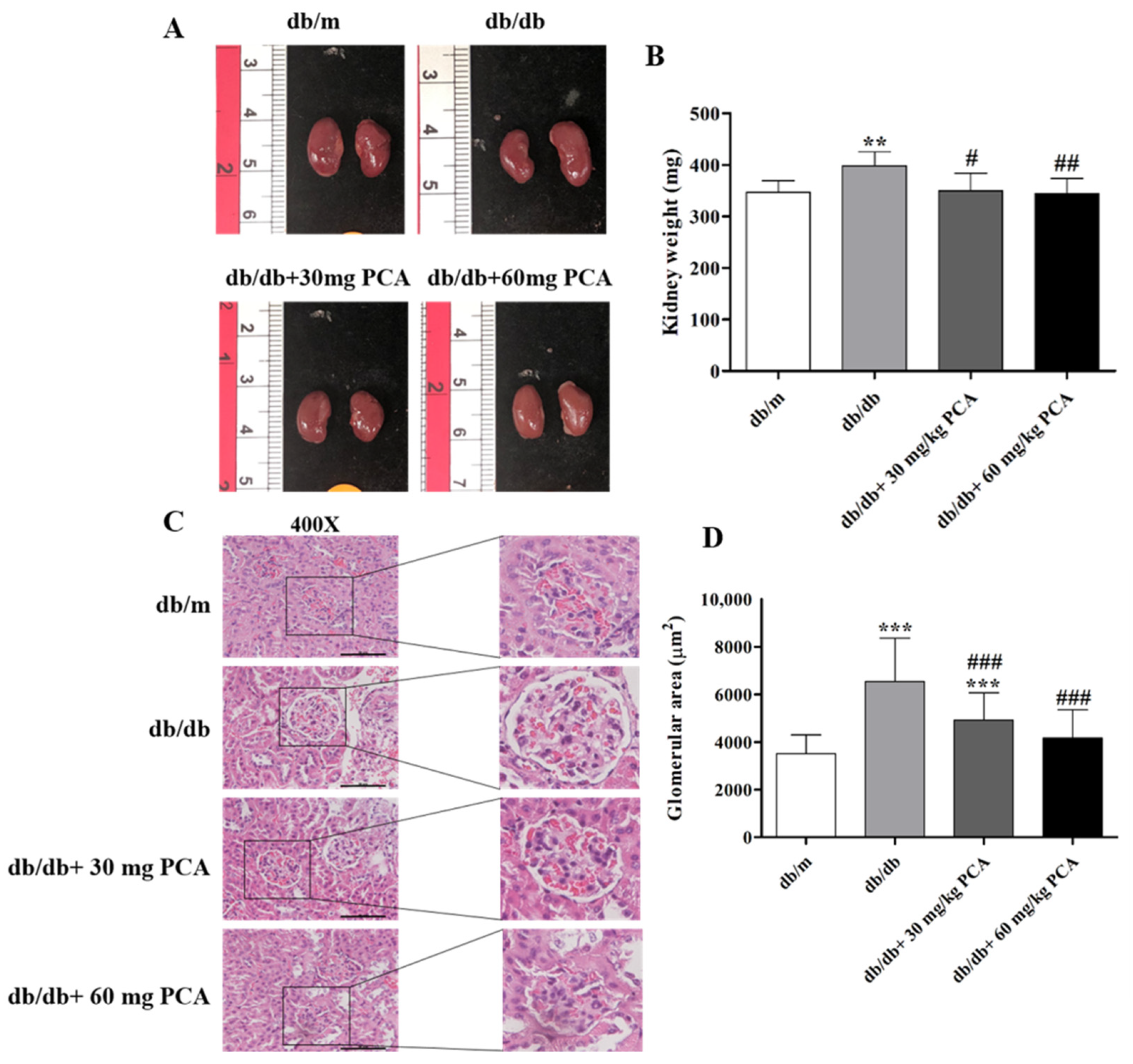 Toxins 13 00560 g004 Toxins 13 00560 g004