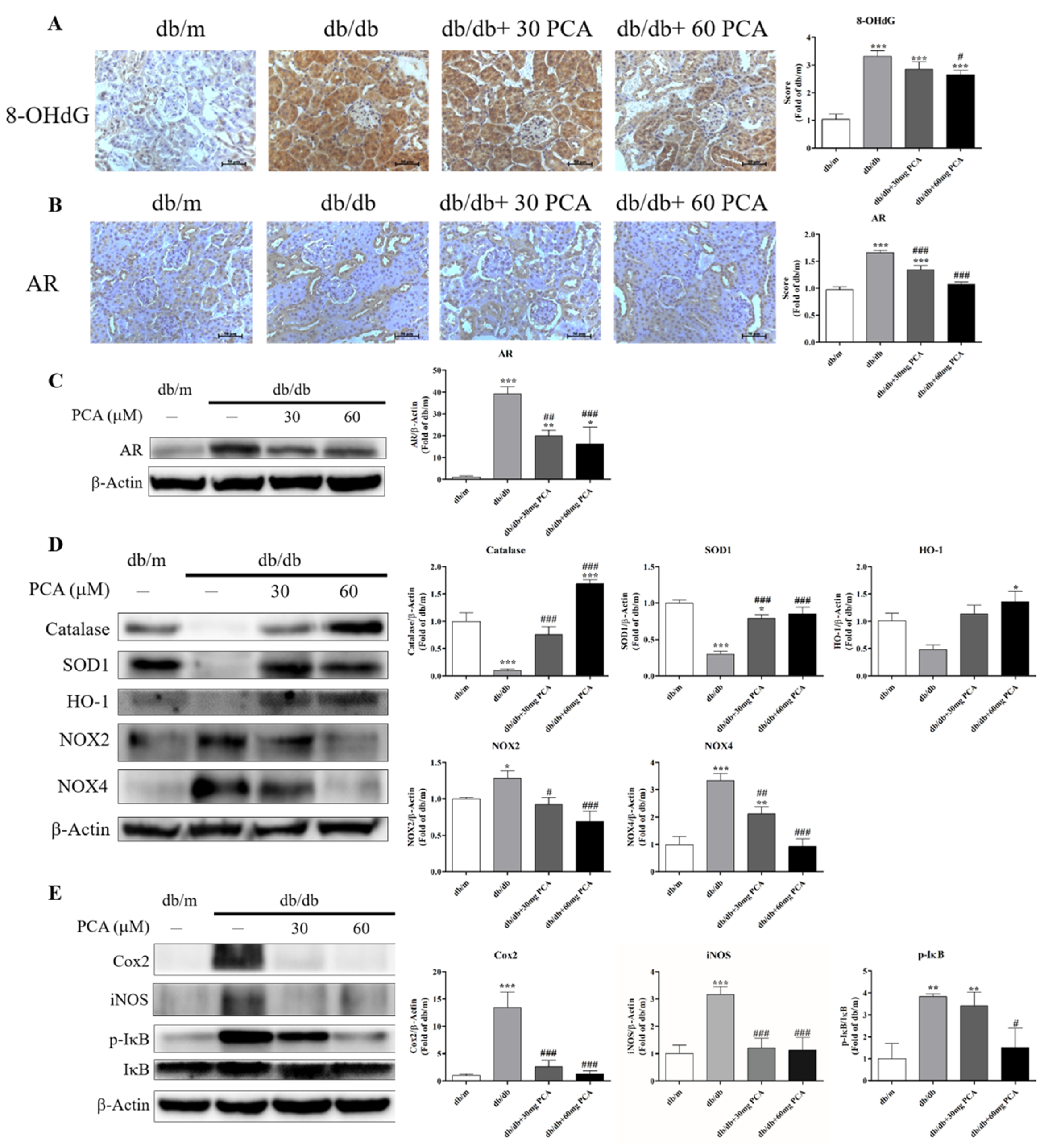 Toxins 13 00560 g007 Toxins 13 00560 g007