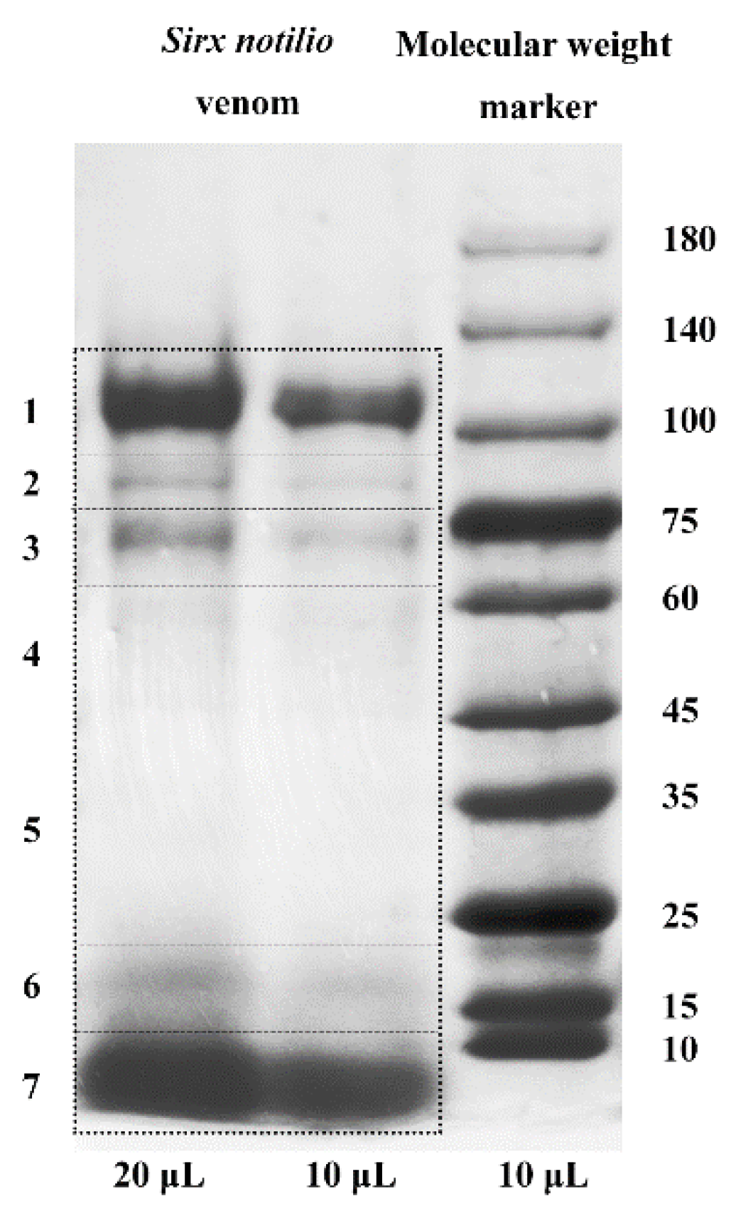 Toxins 13 00562 g002 Toxins 13 00562 g002