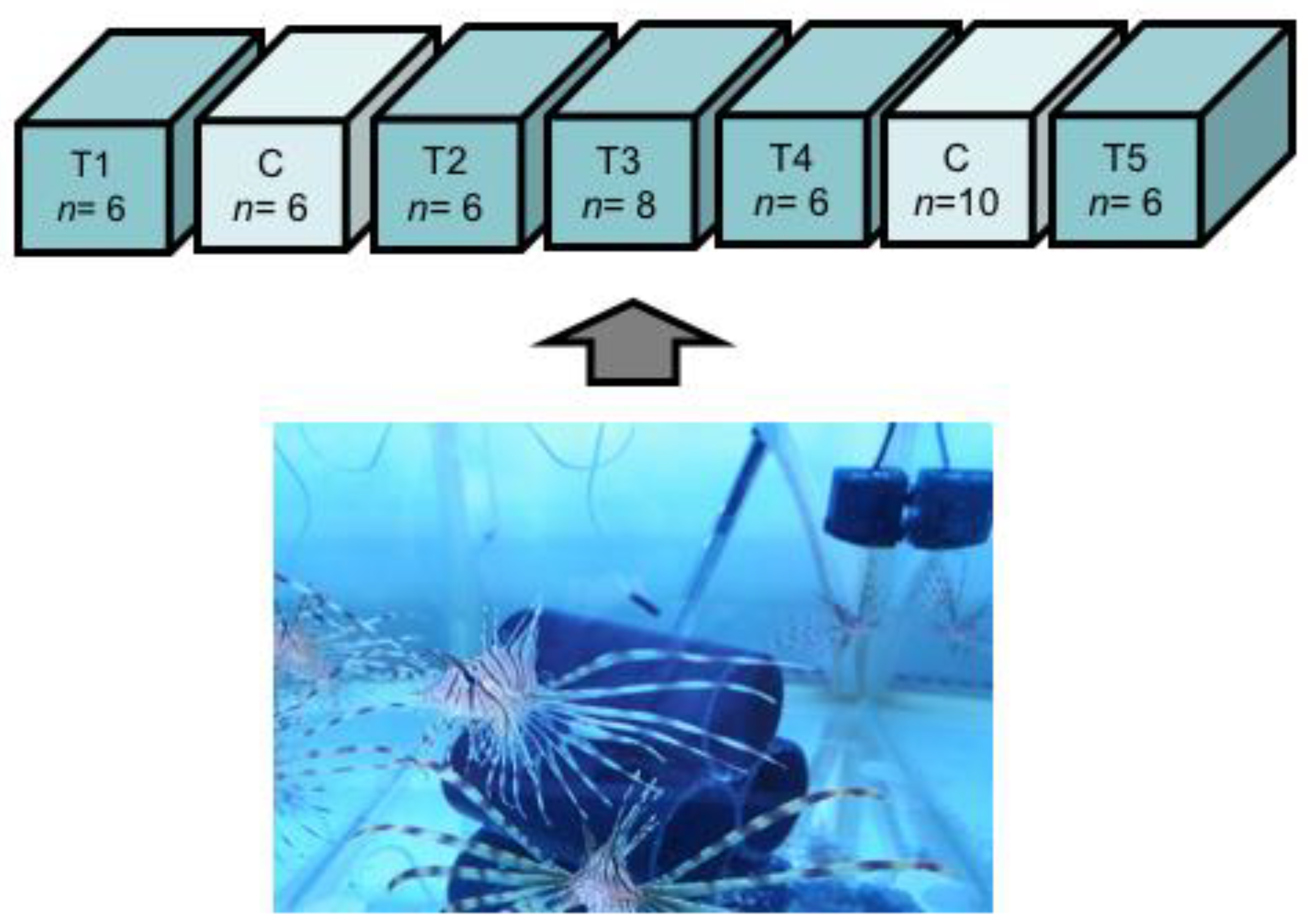 Toxins 13 00564 g004
