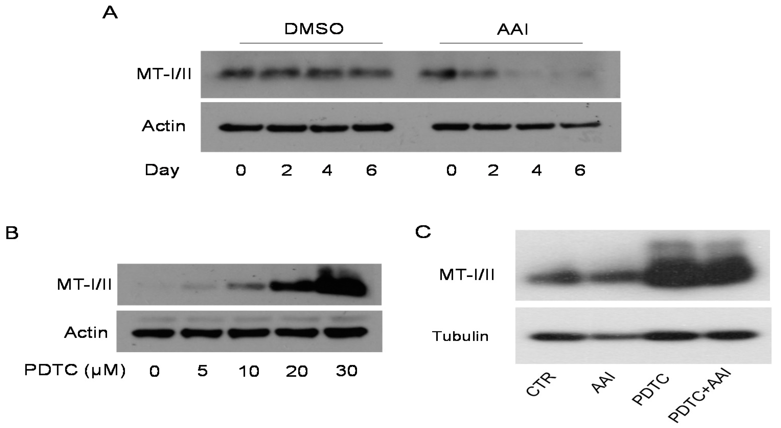 Toxins 13 00568 g004 550
