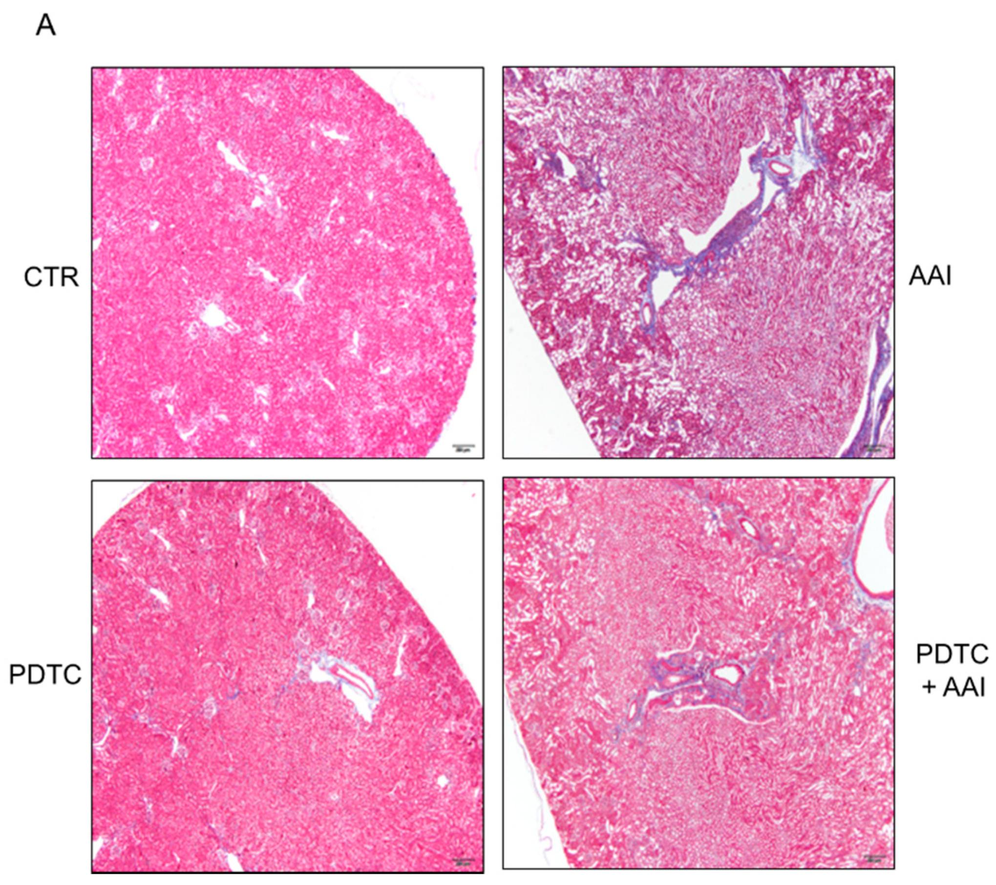 Toxins 13 00568 g006a 550