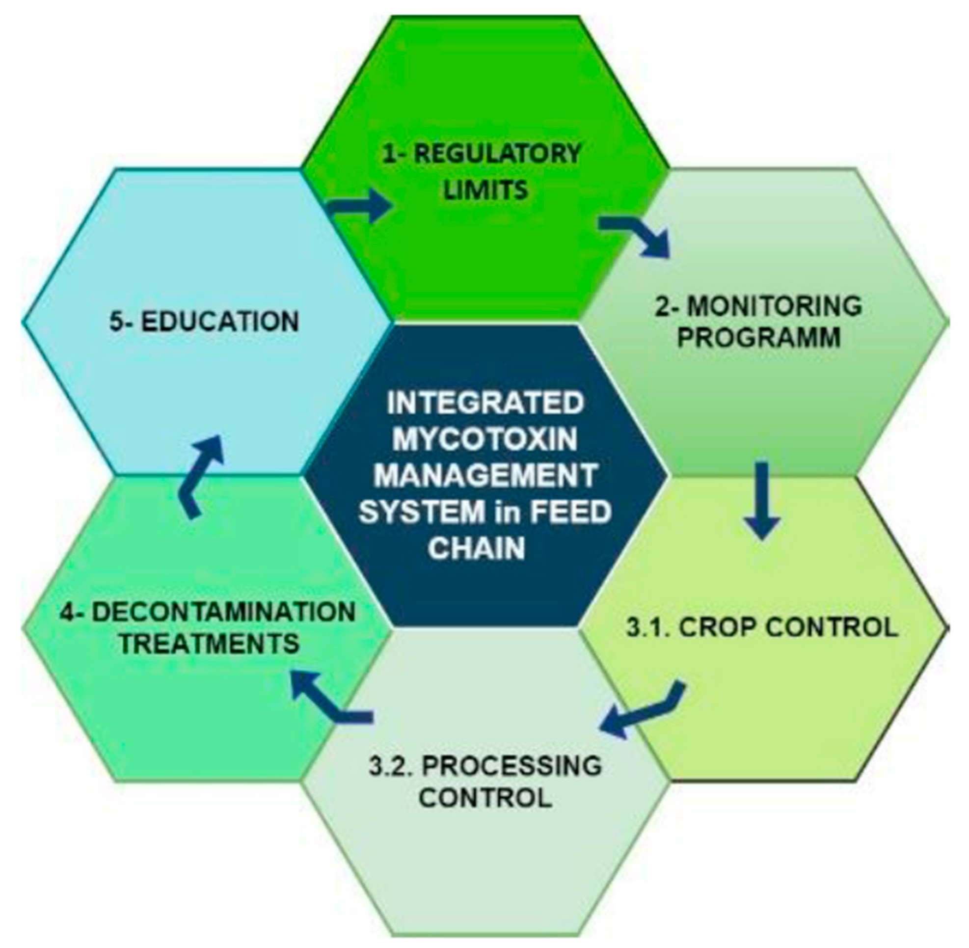 Integrated Mycotoxin Management System in the Feed Supply