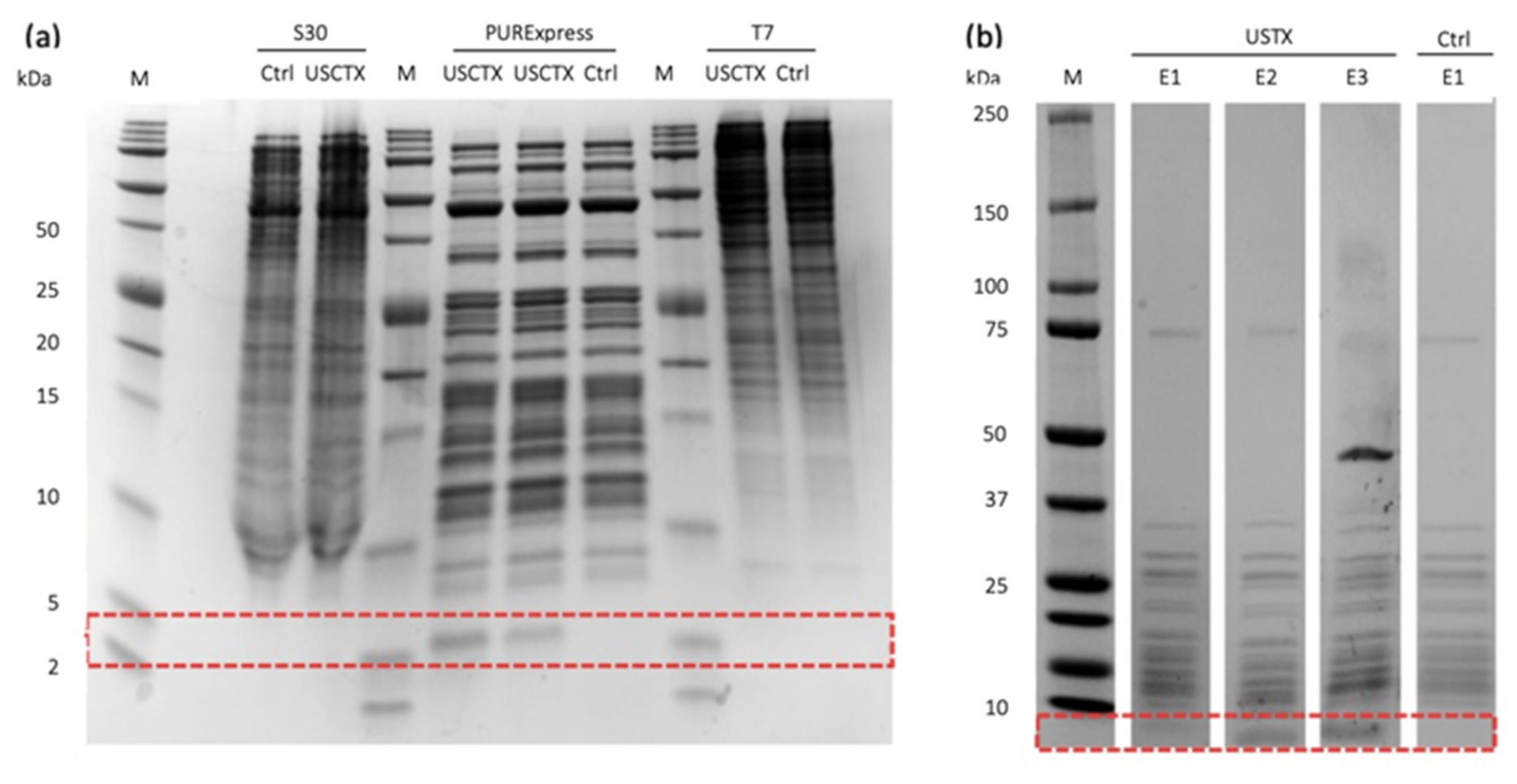 Toxins Free Full Text A Spider Toxin Exemplifies The Promises And Pitfalls Of Cell Free Protein Production For Venom Biodiscovery Html