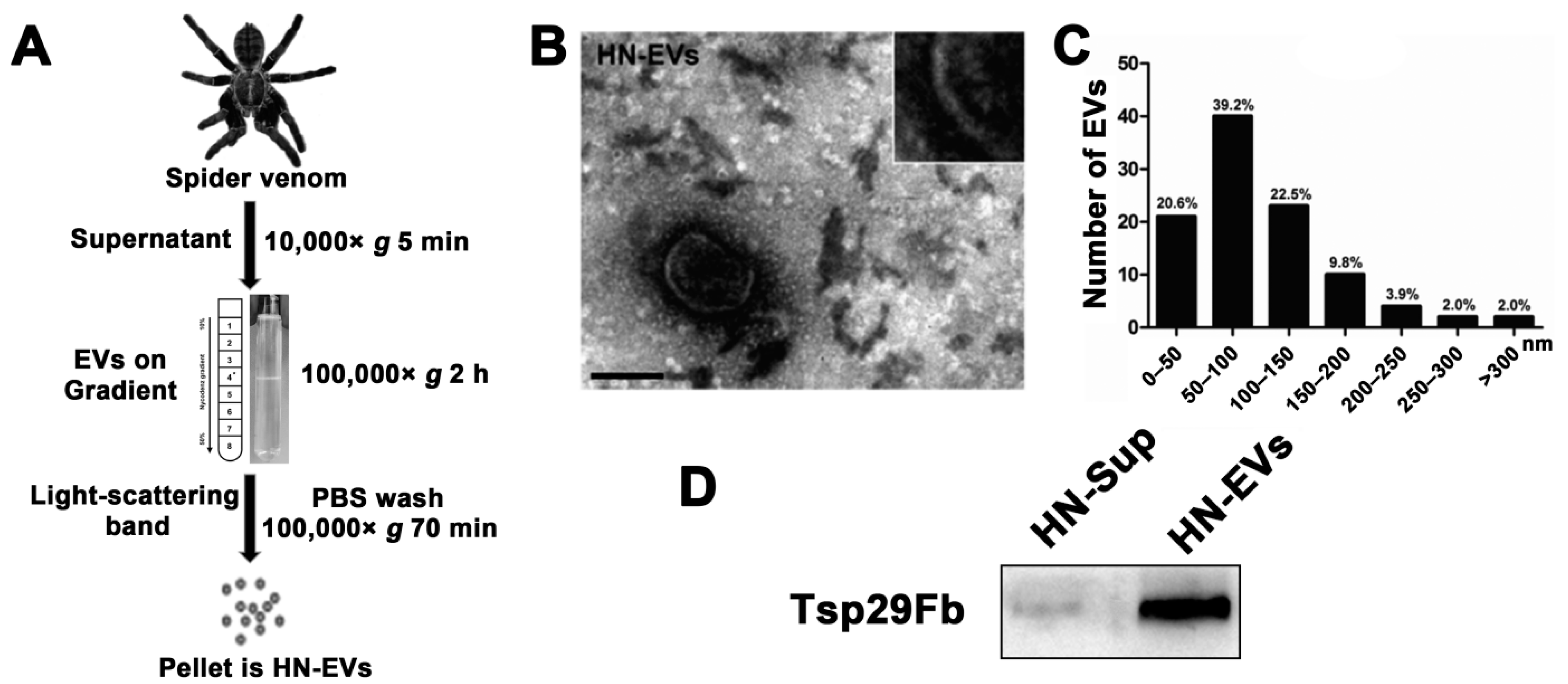 Toxins 13 00579 g002 550
