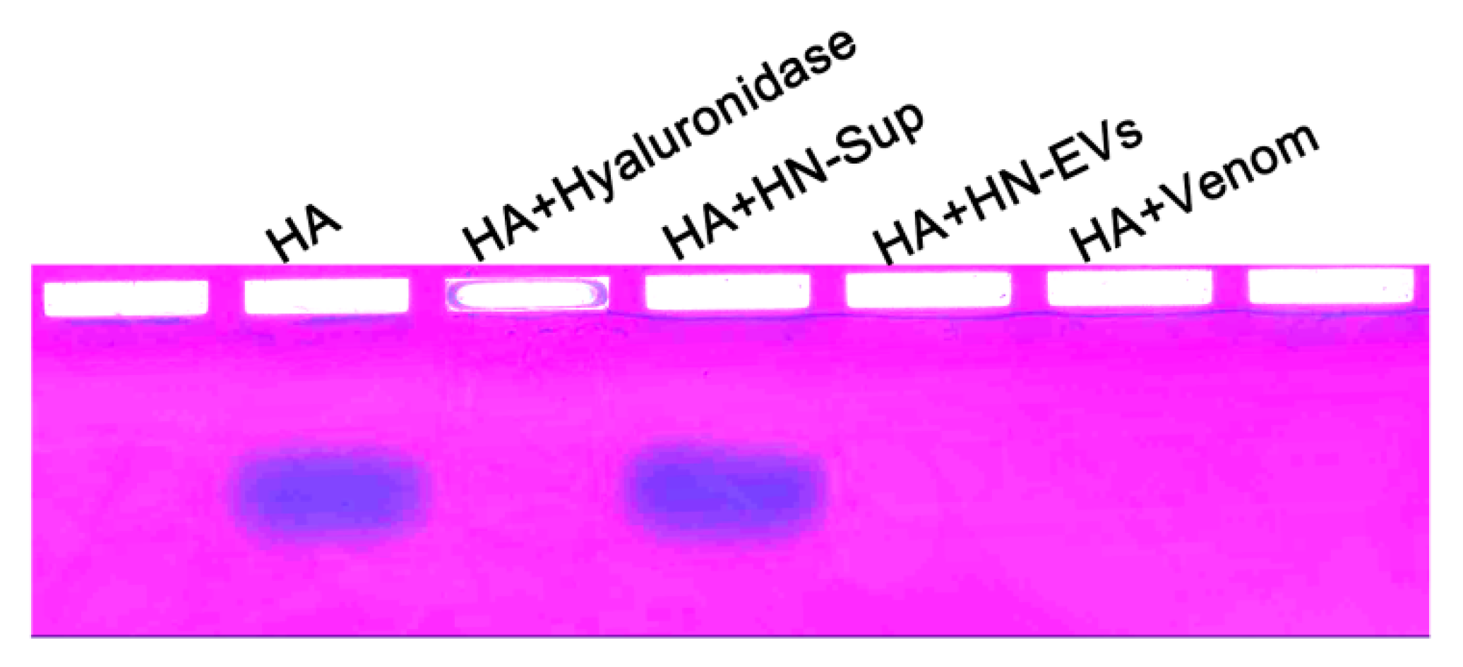 Toxins 13 00579 g005 550