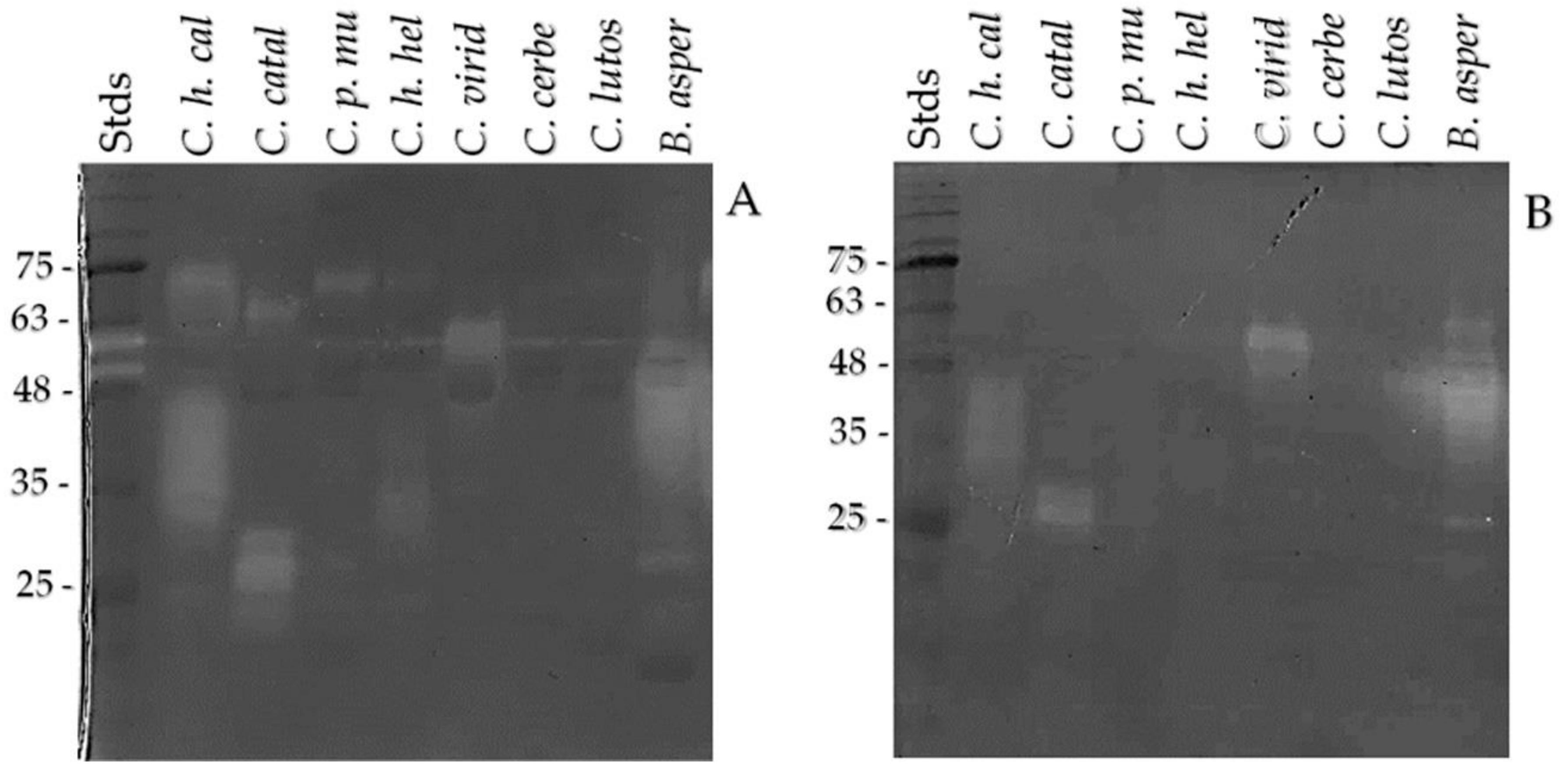 Toxins 13 00582 g007