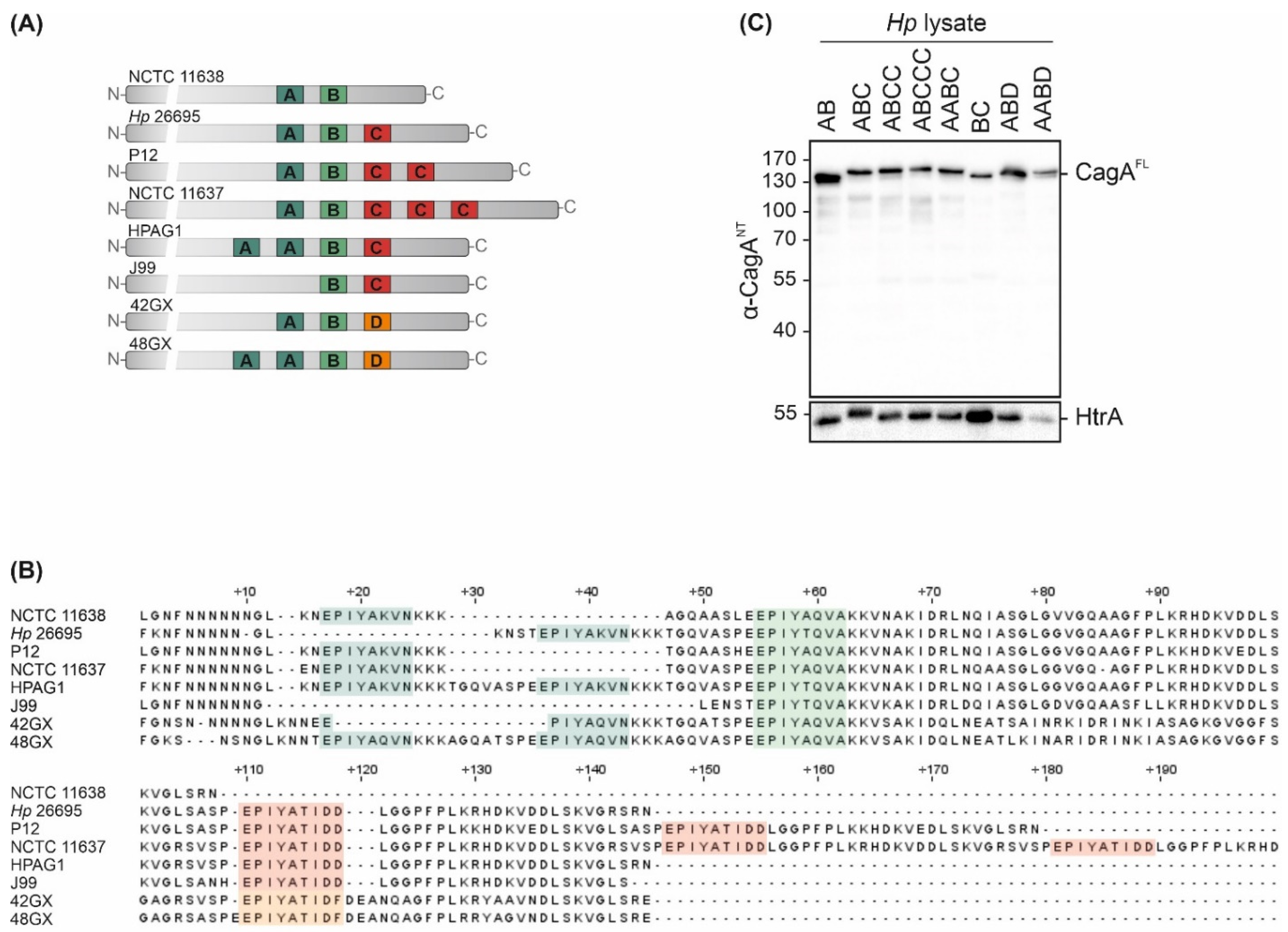 Toxins 13 00592 g001